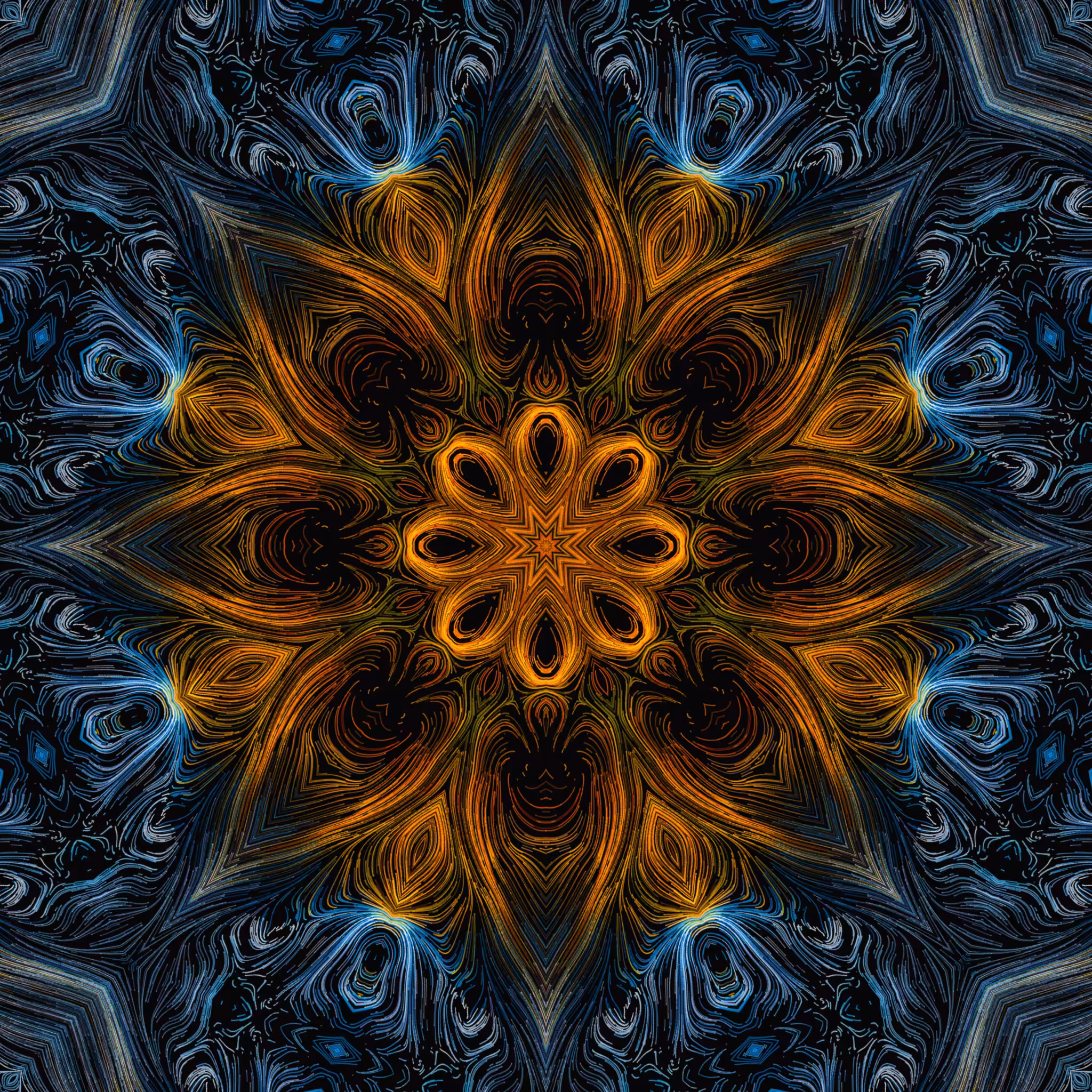 doors of perception #14