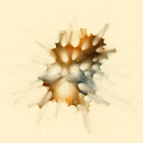 SKAL-0224-G12