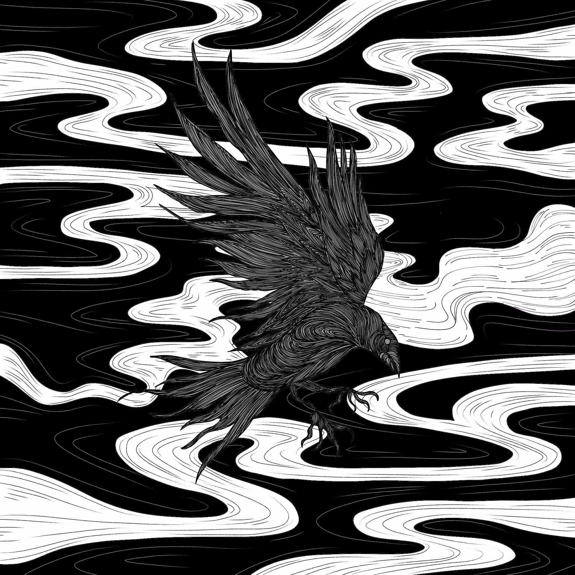 Raven