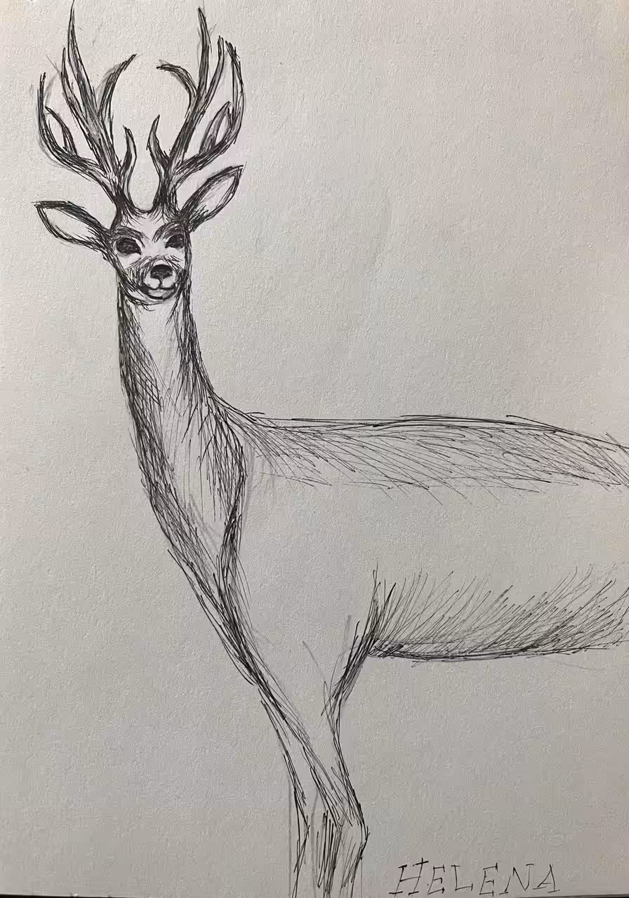 Helena art: Deer