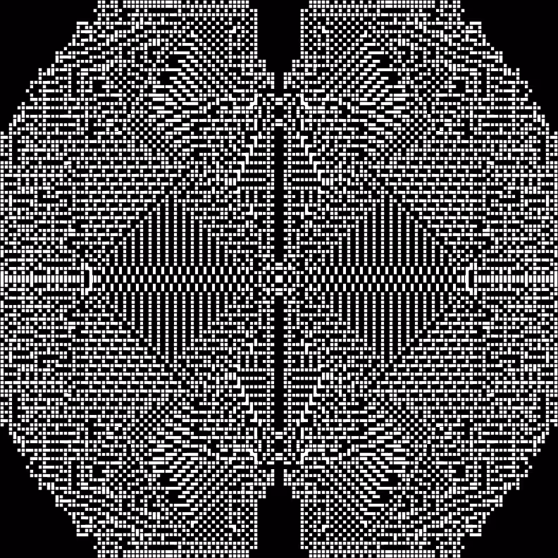 Cellular Canvas #473