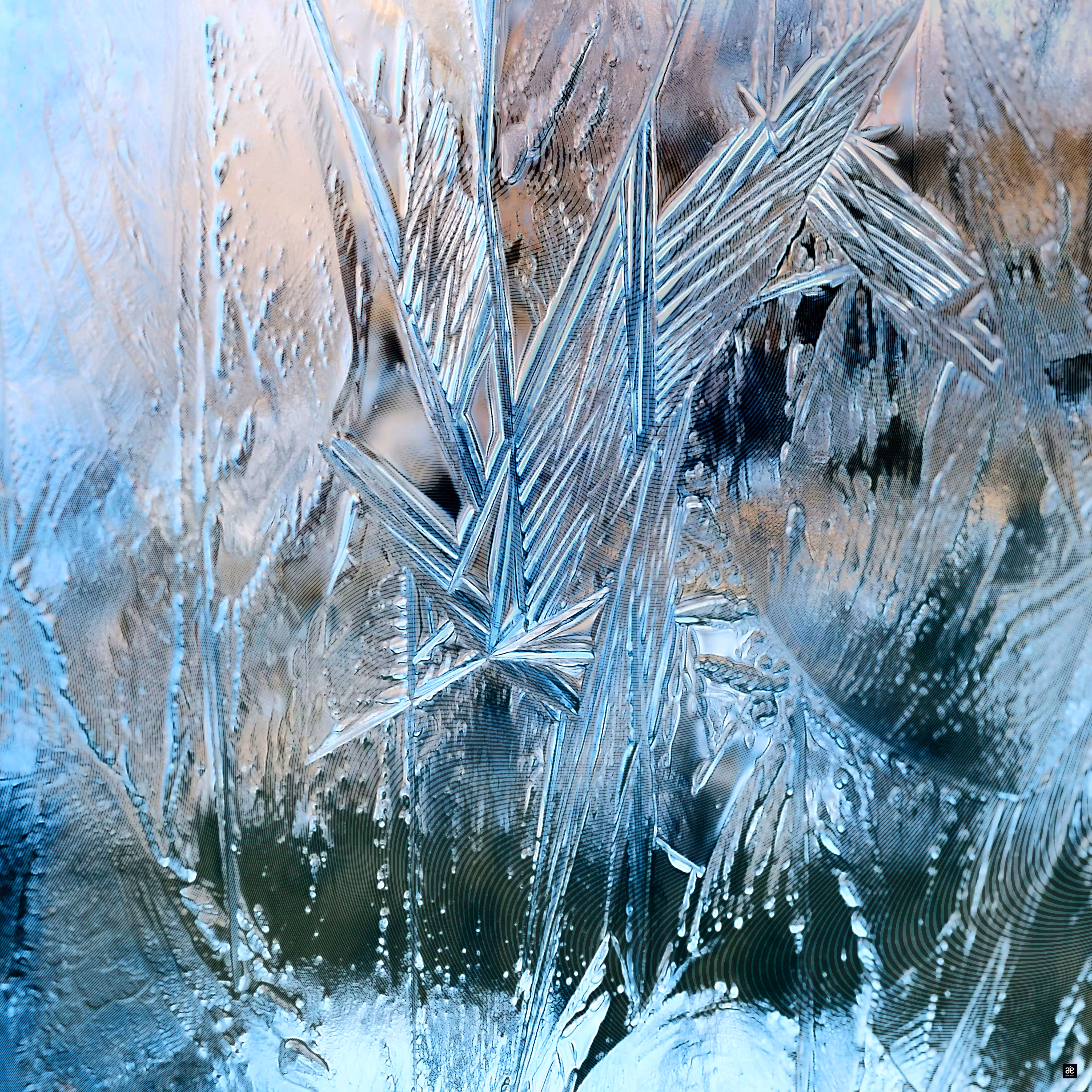 ICEWORLD