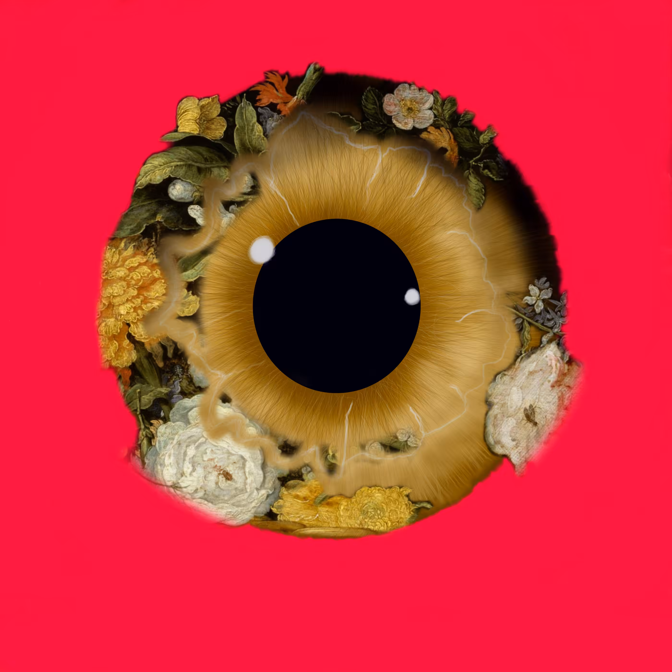 Eyemazing Iris: The Florist