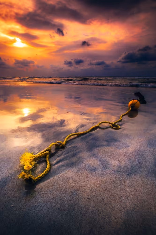 The yellow
