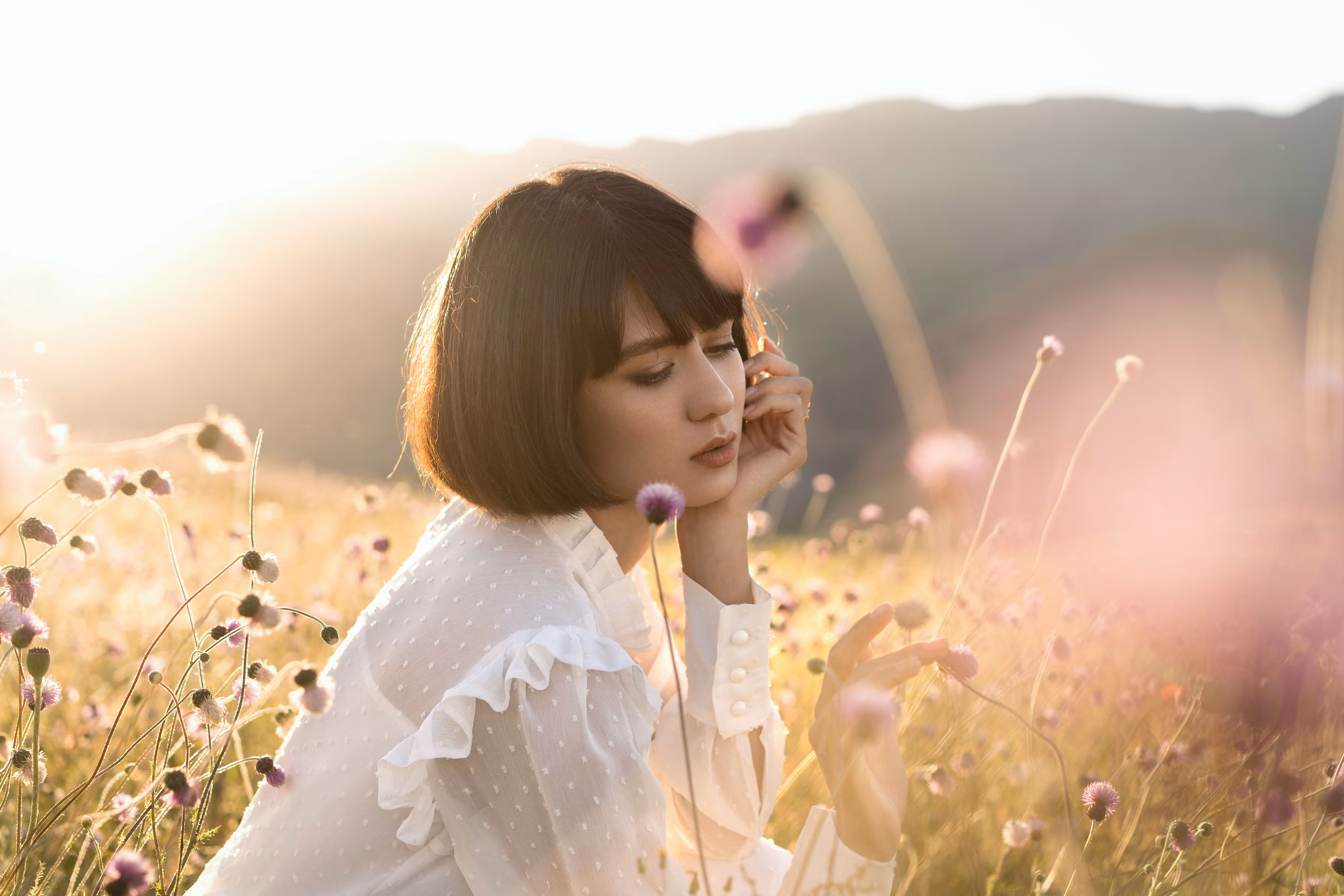 Dreaming of Light 