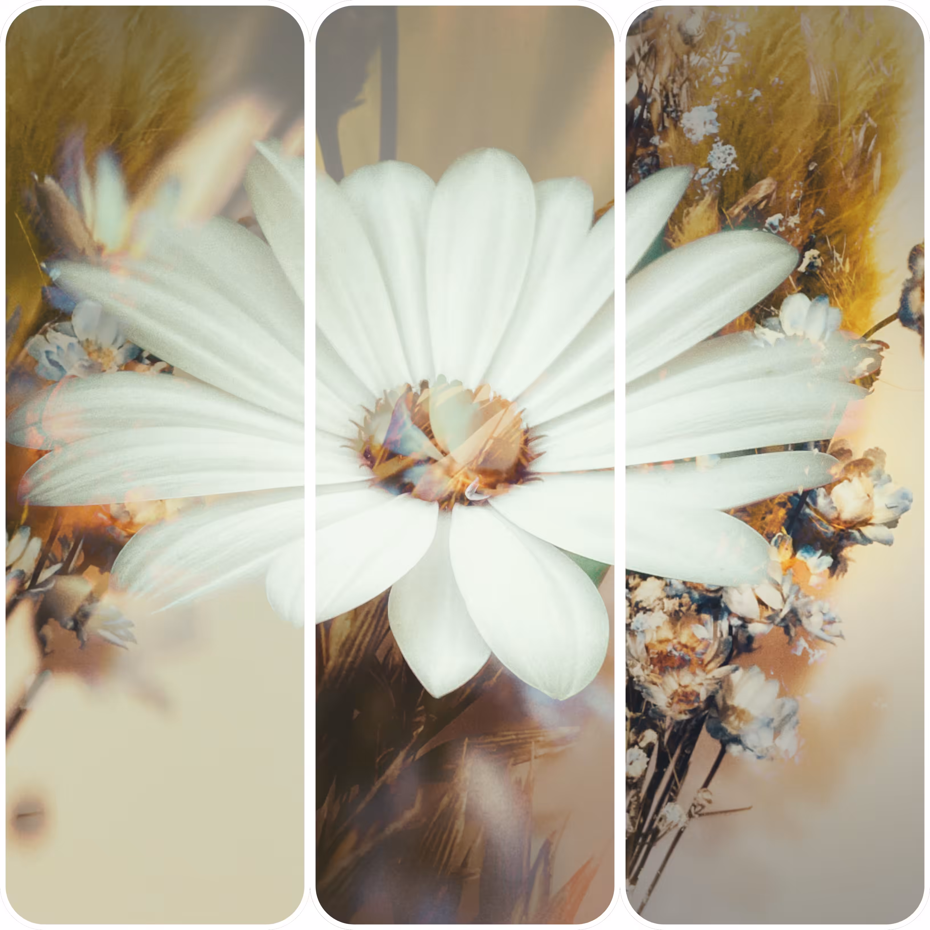 Floral Noise: White Wonder