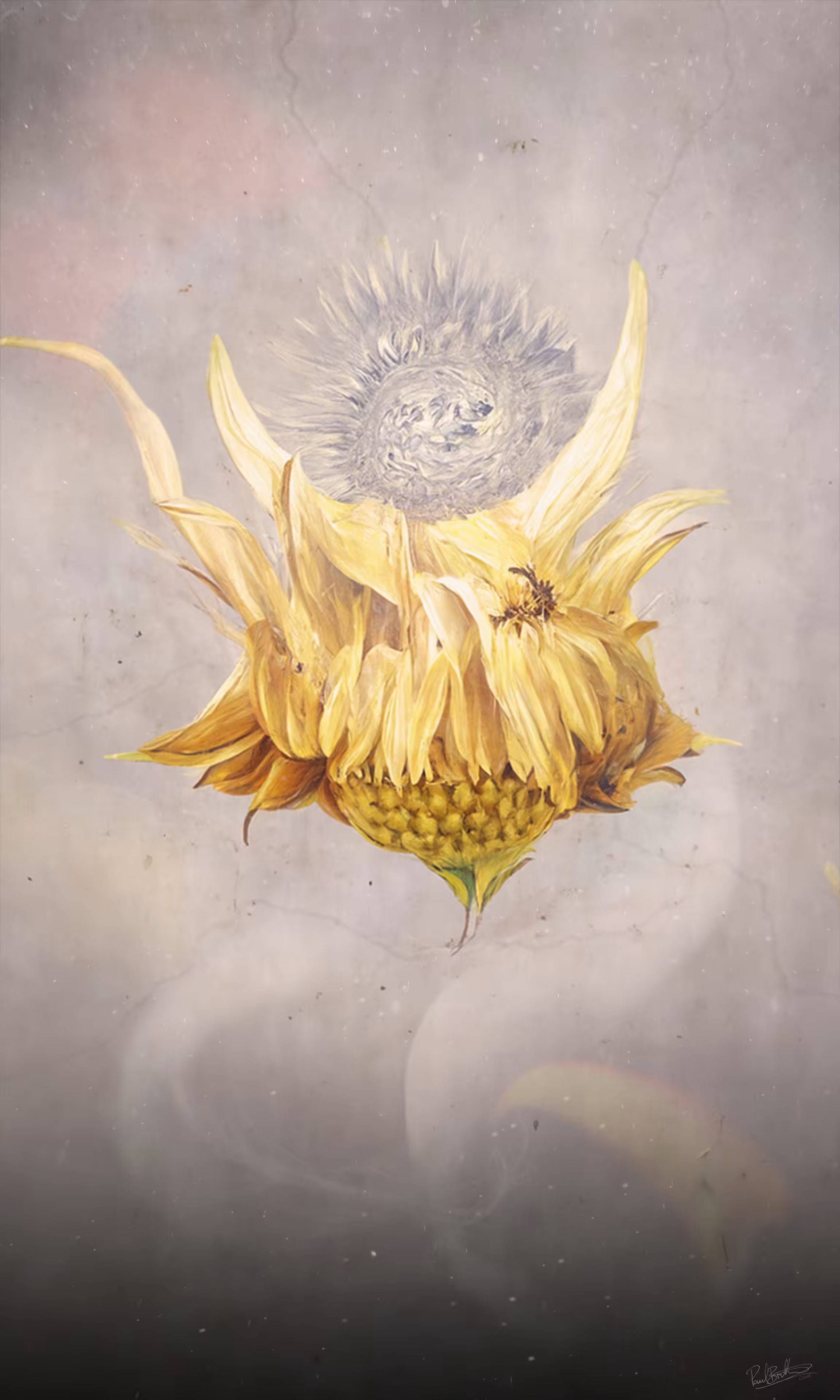 Organics 4x5