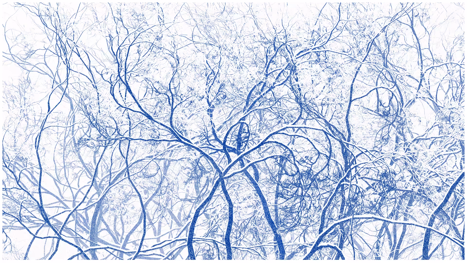 SCHNEEWALD #40