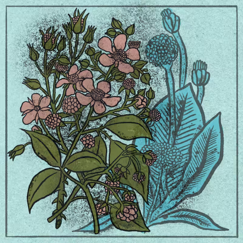 Bouquet #79