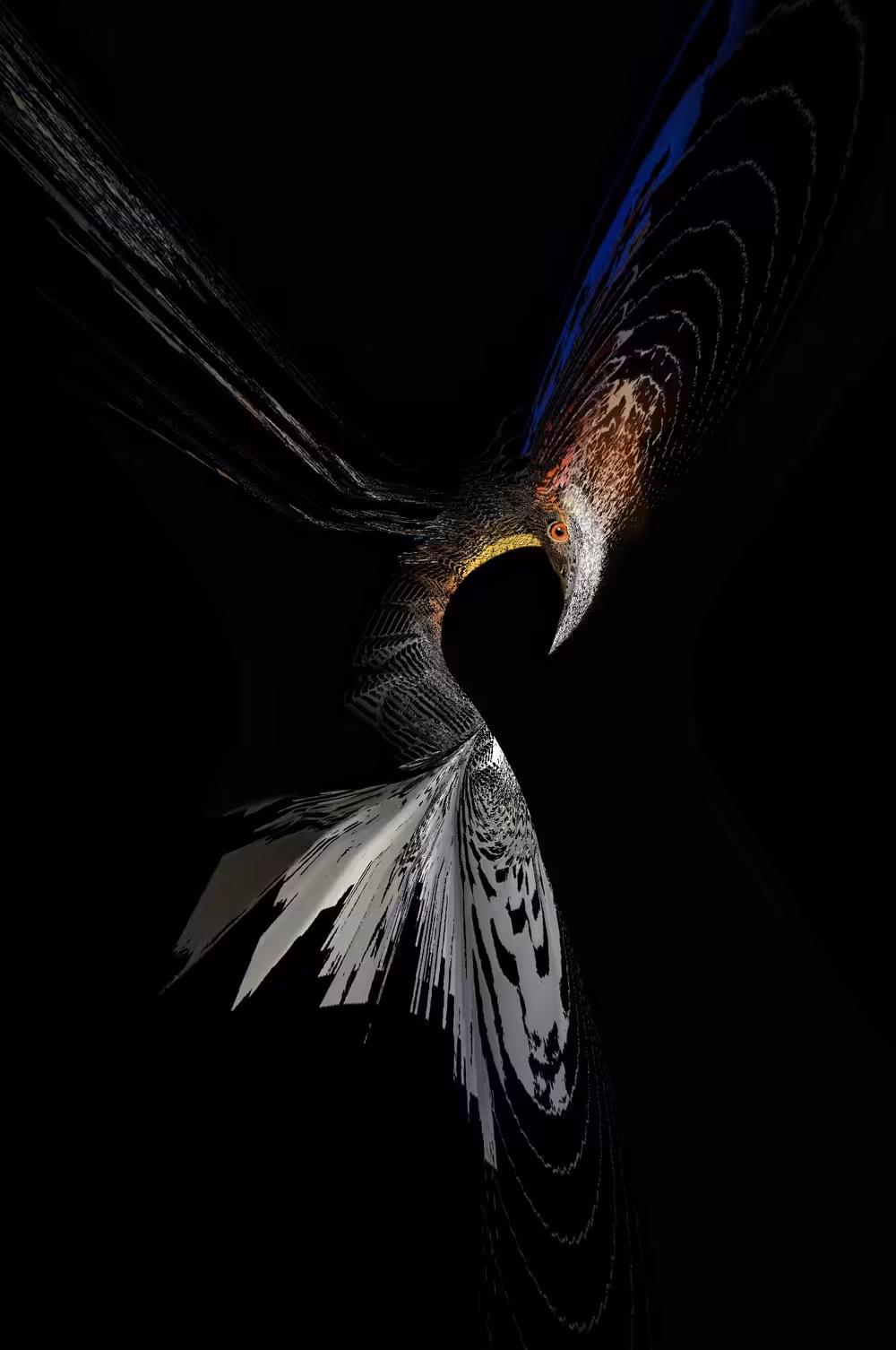 Phoenix