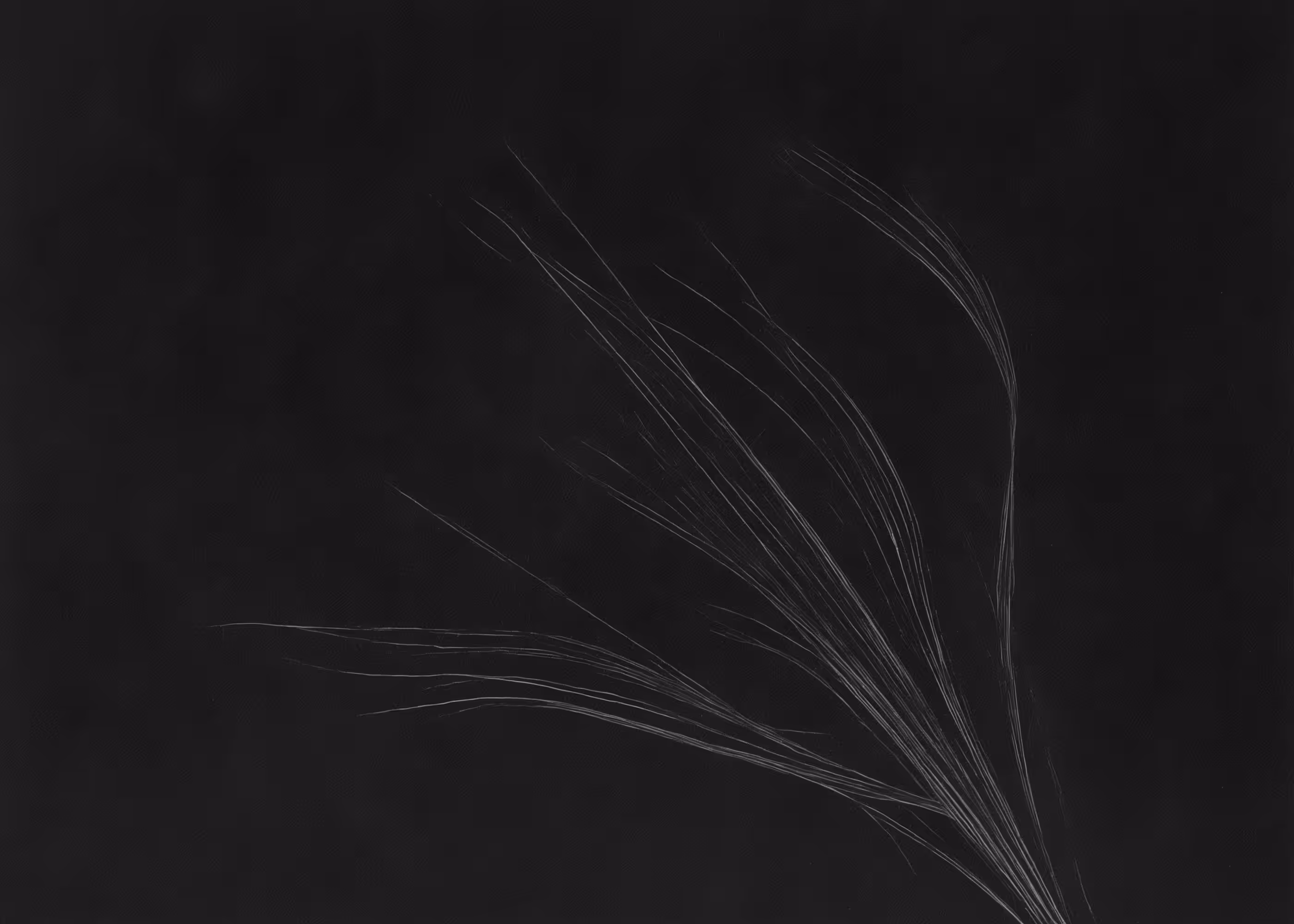 Lumens #832