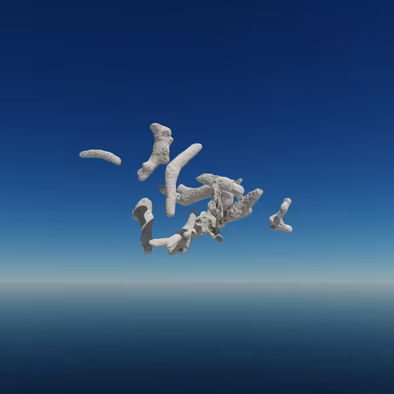 Bone Work (Gulf of Mexico) 2022 #63