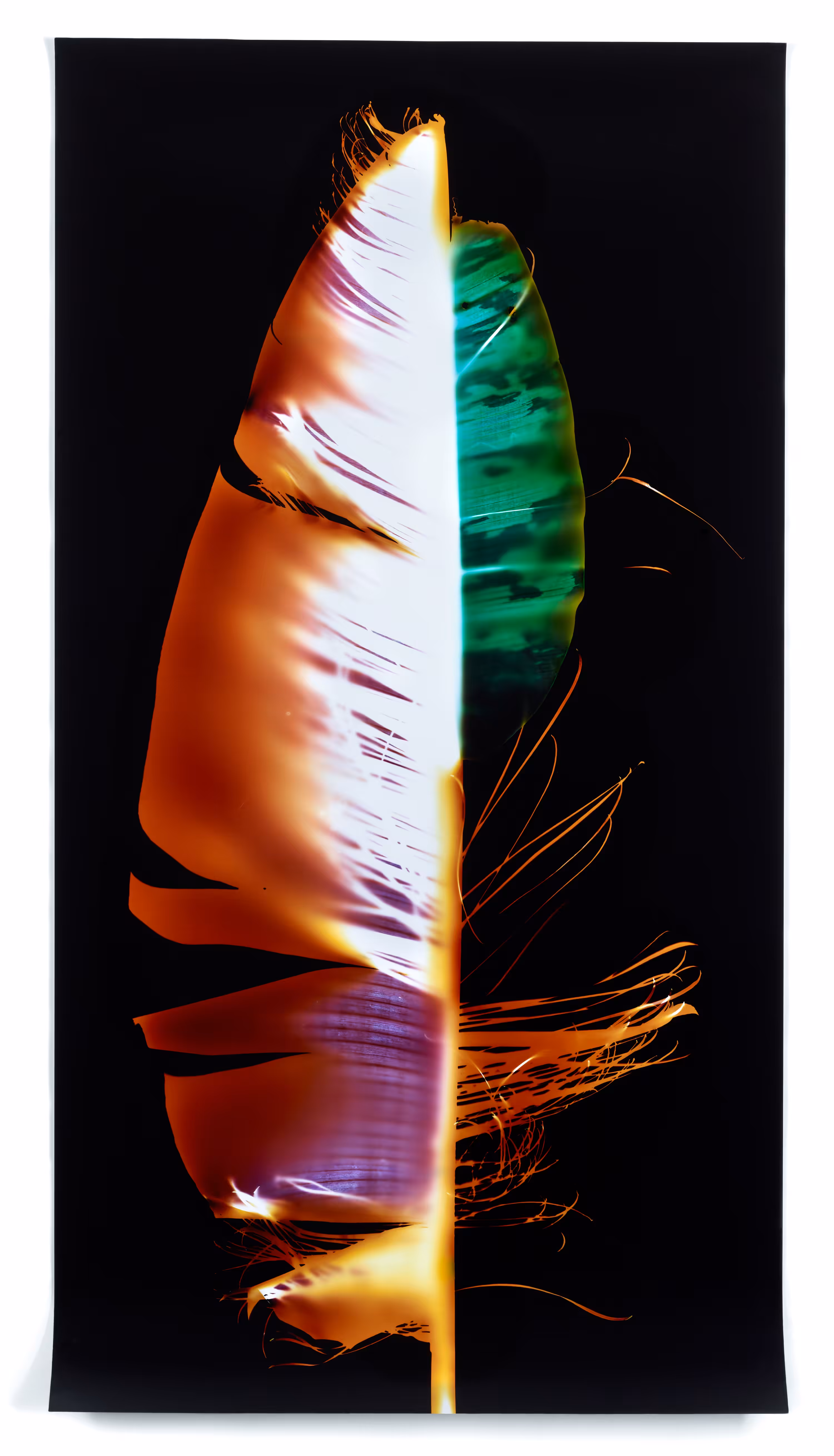 Portrait (Hybrid 1)