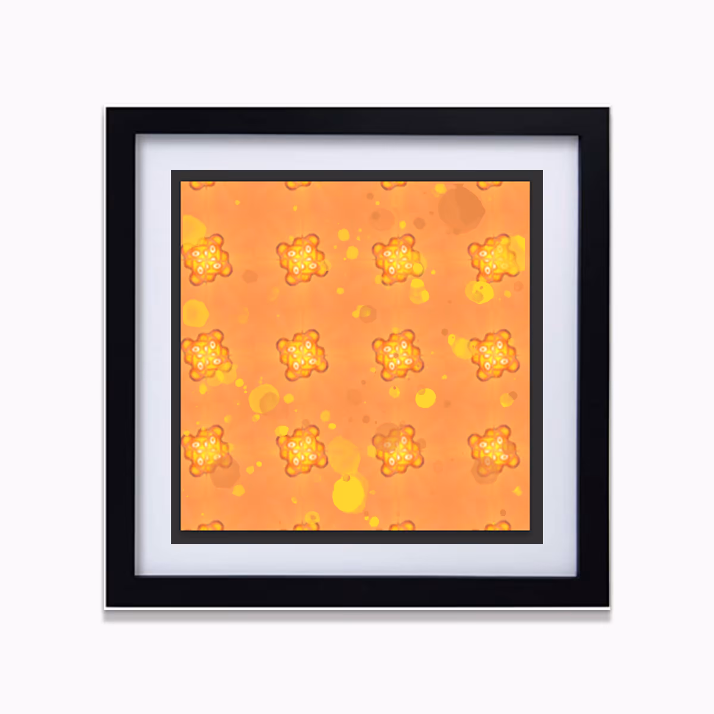 Shape Study 9