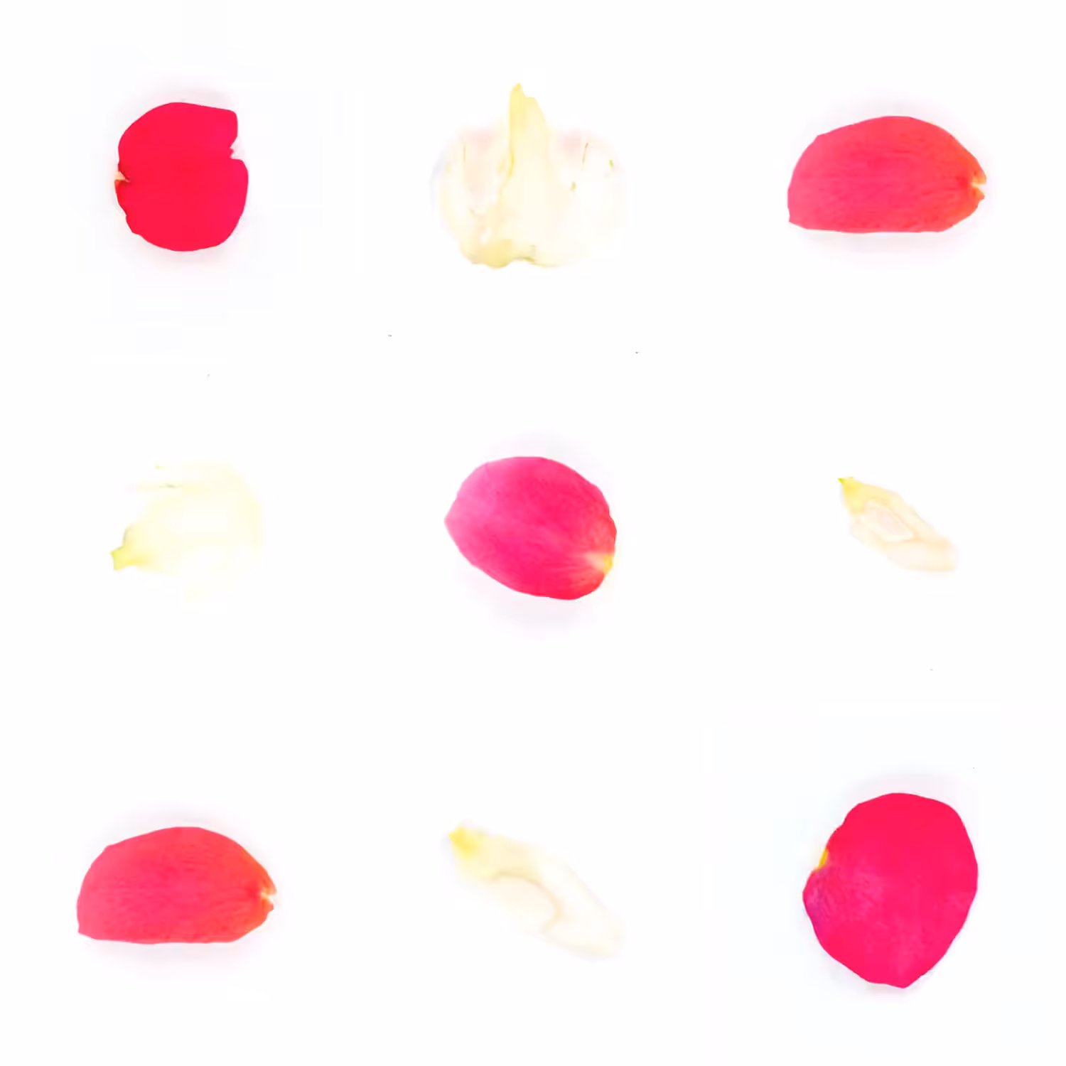 Infinite Petals 3x3#710