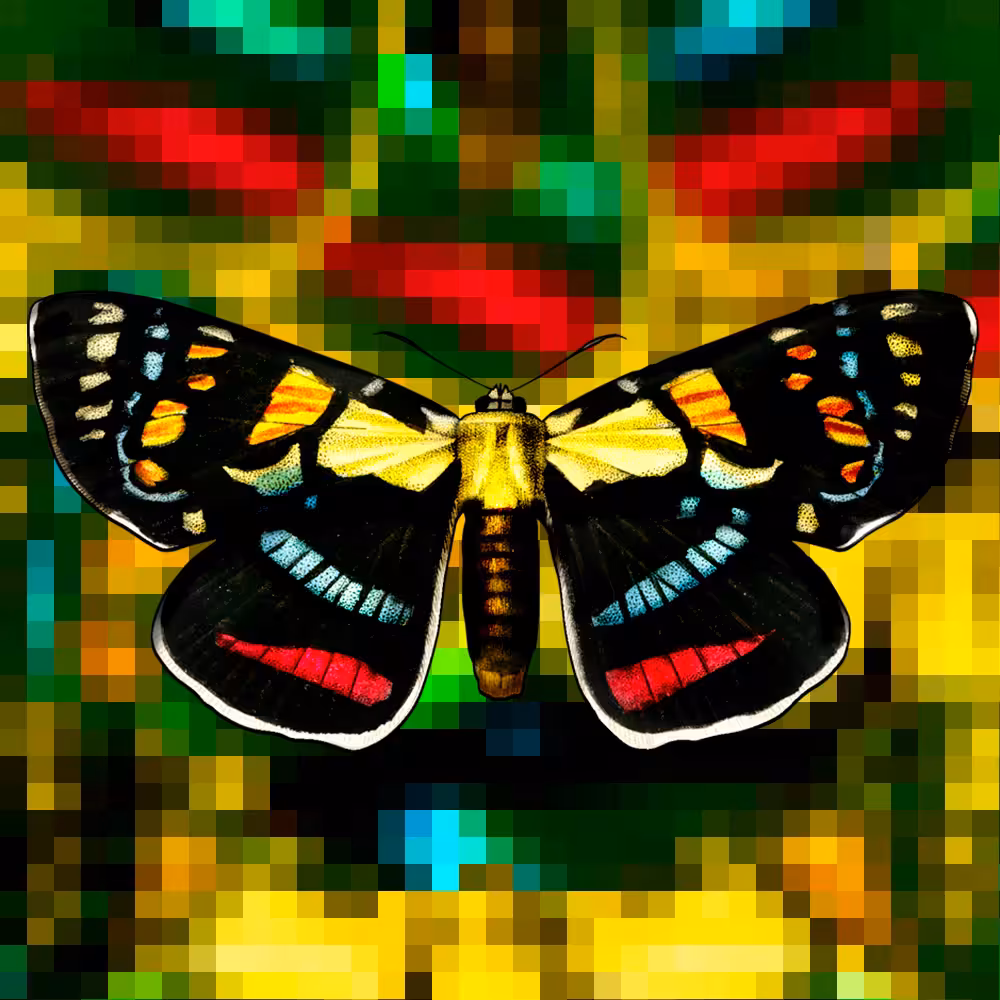 PFP Resurrection in Rainbows