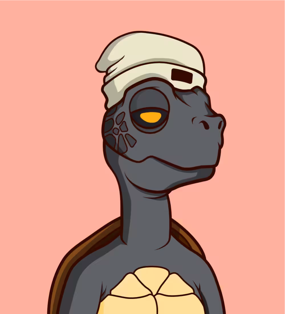 Tiny Turtle's: Tiny Turtle 89