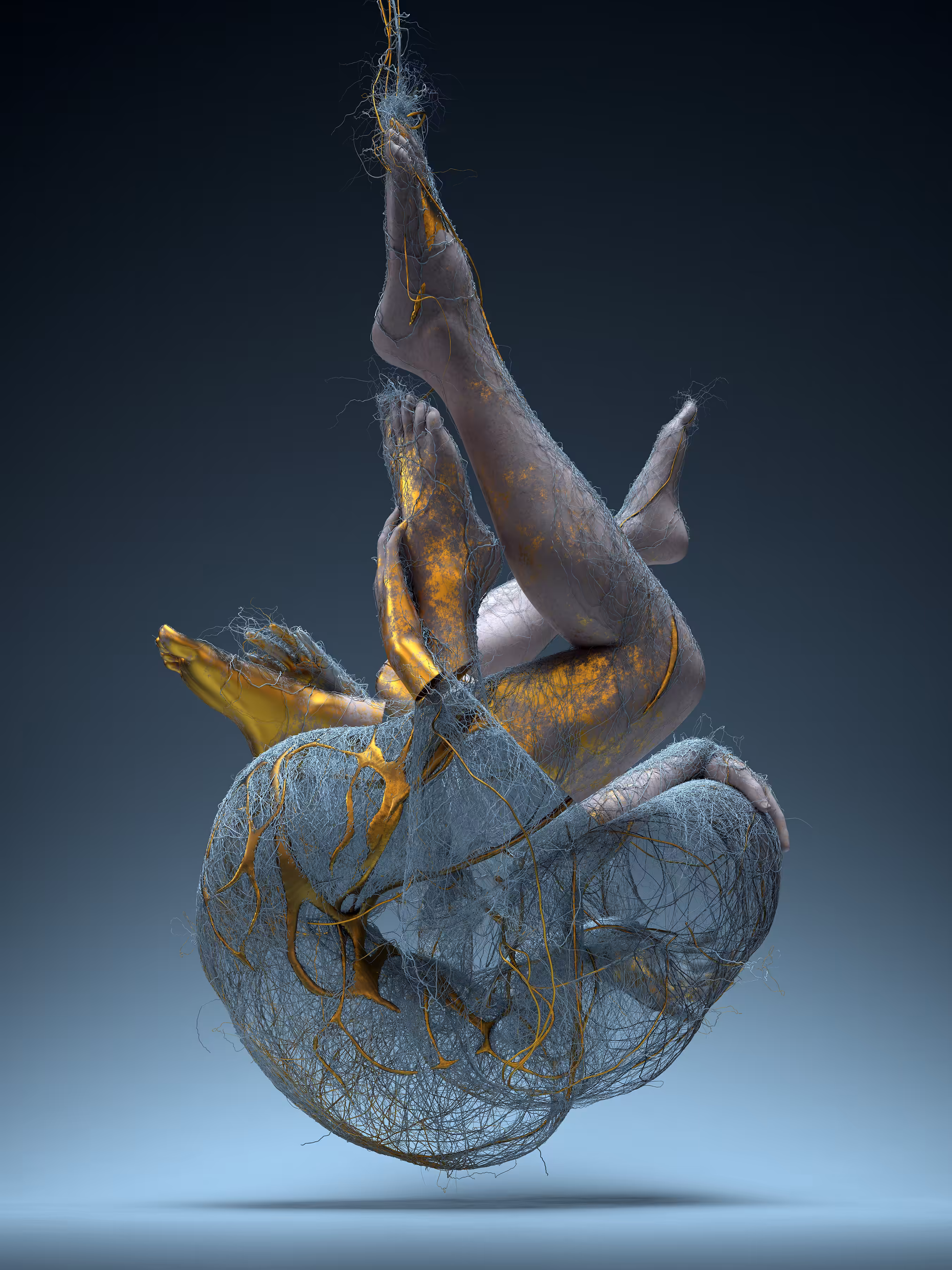 Cocoon