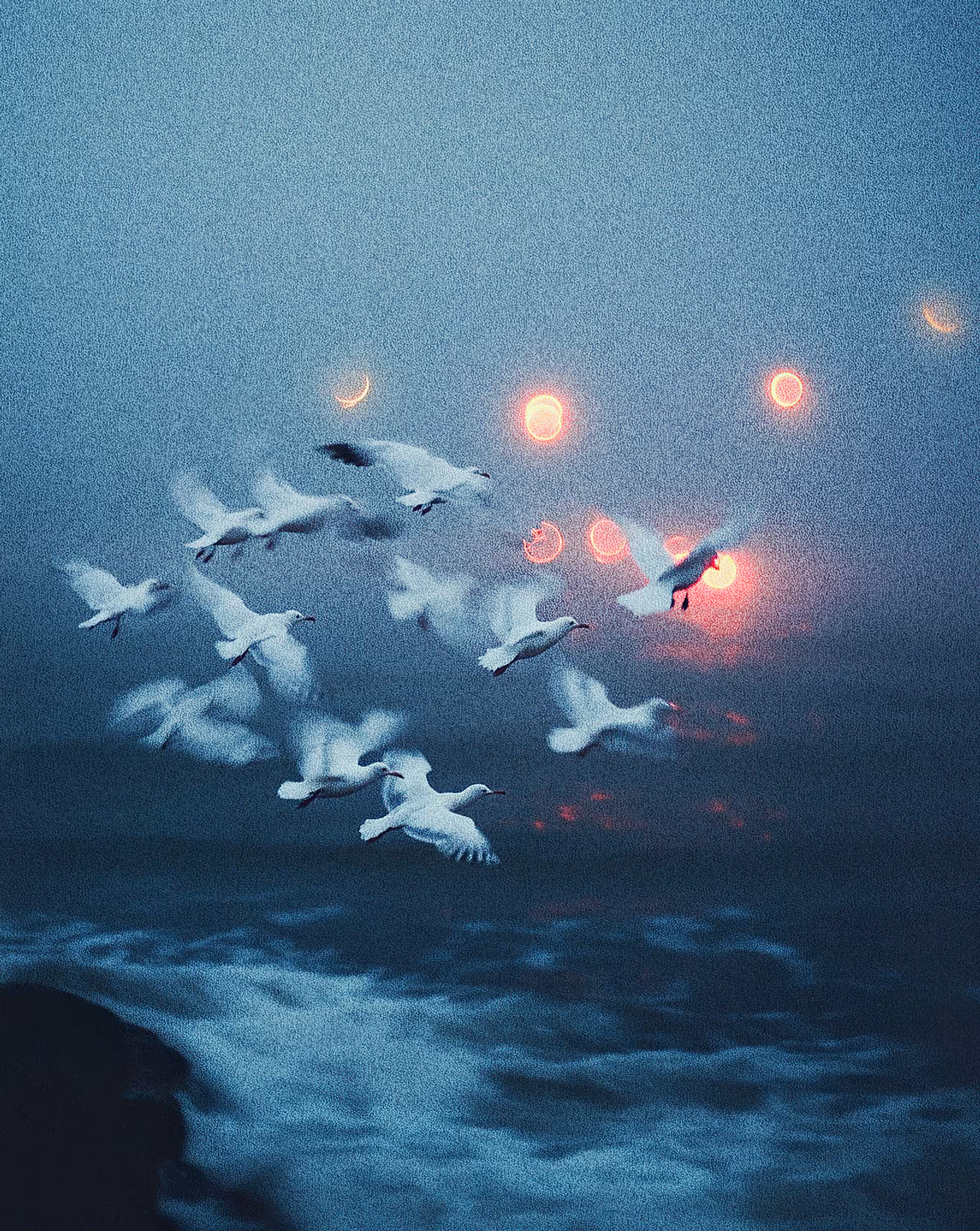 19