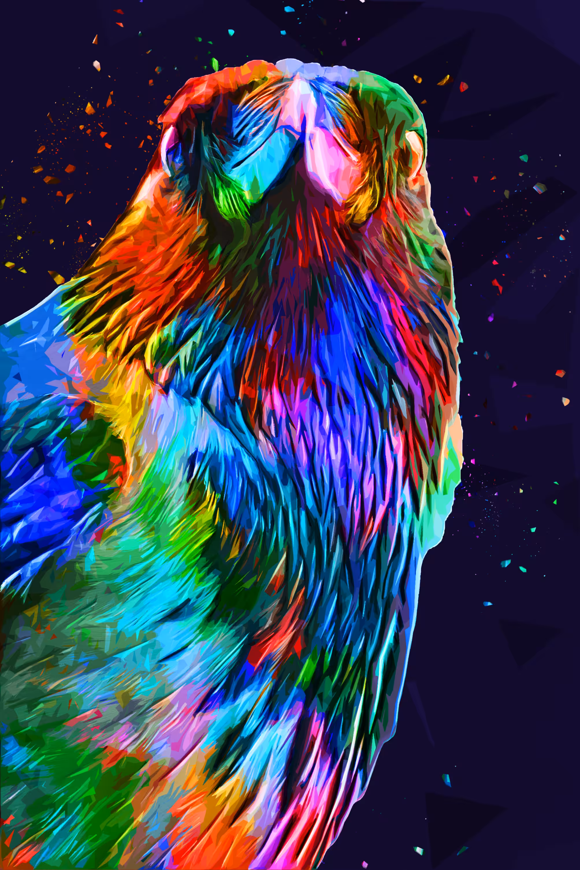 Hawk
