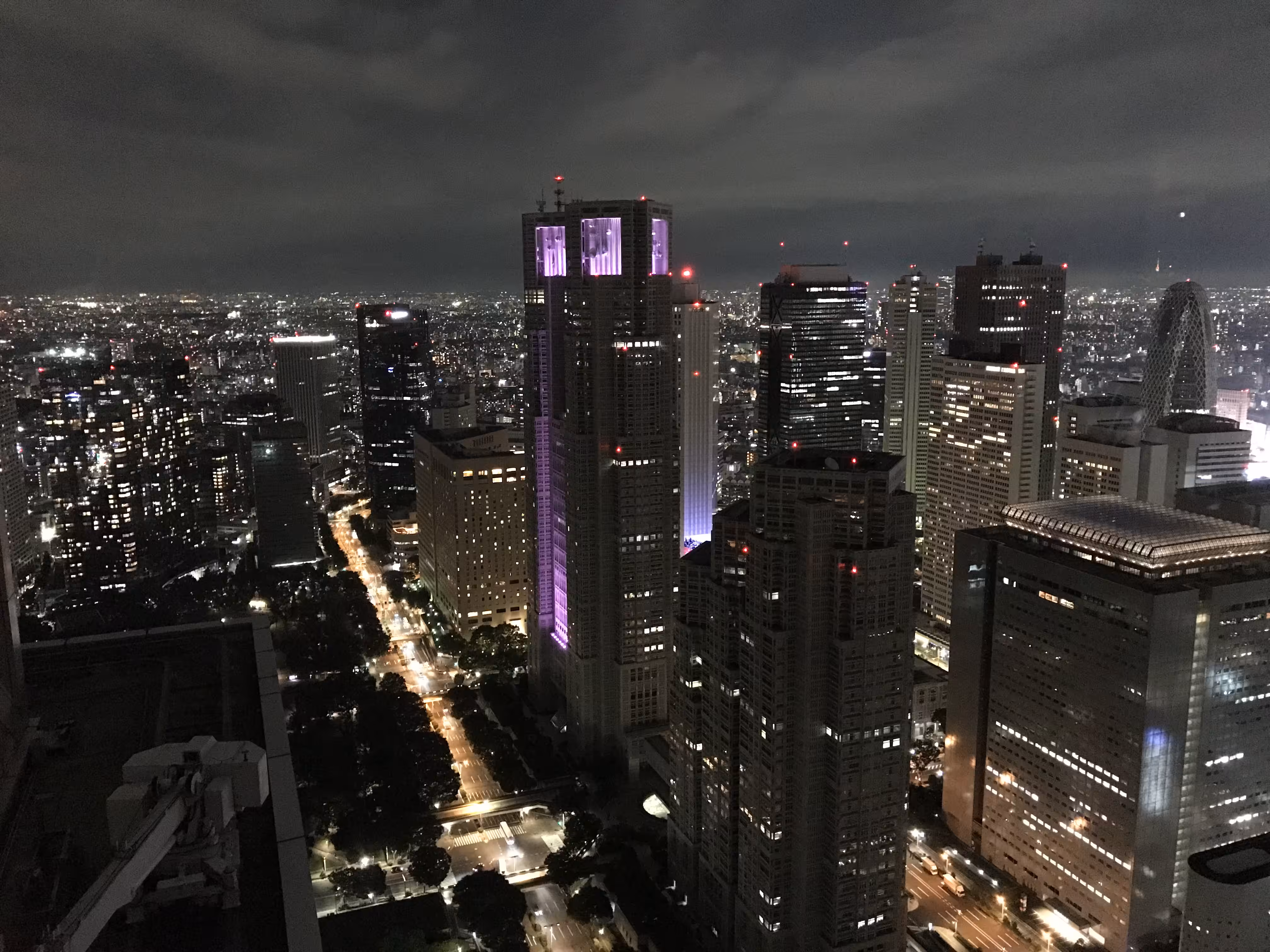 Tokyo Skyline