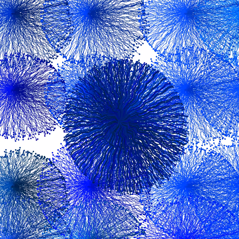 CircuWeb #25
