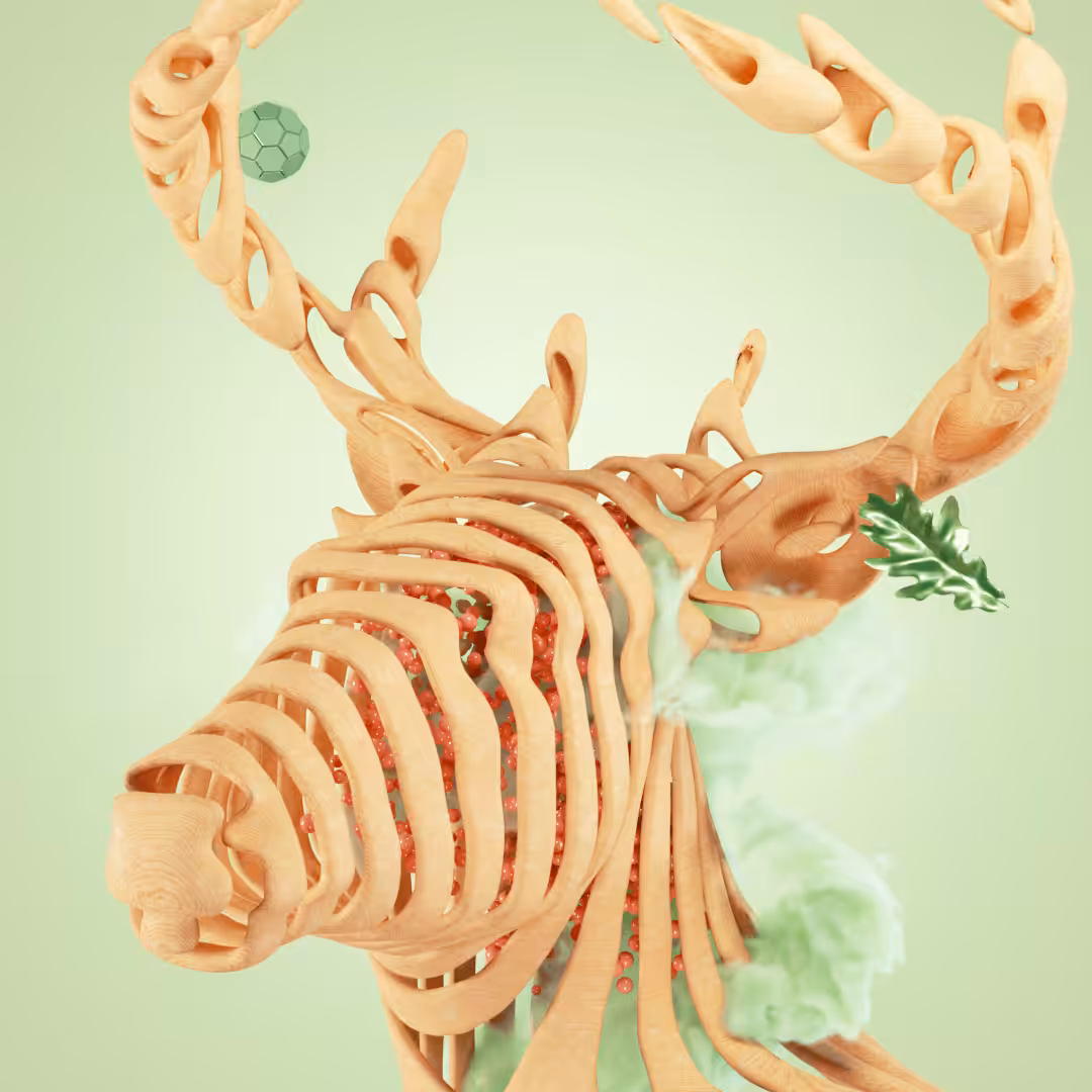 #1 Deer 