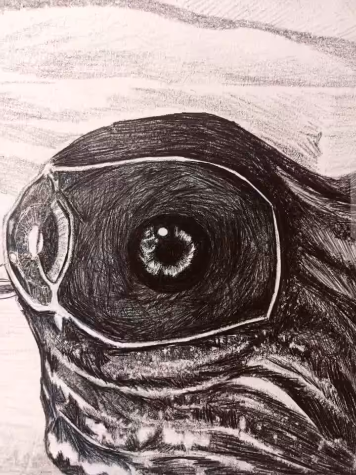 Eyes of fire II