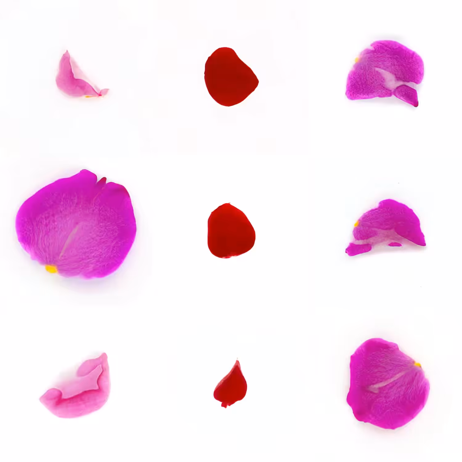 Infinite Petals 3x3#3410