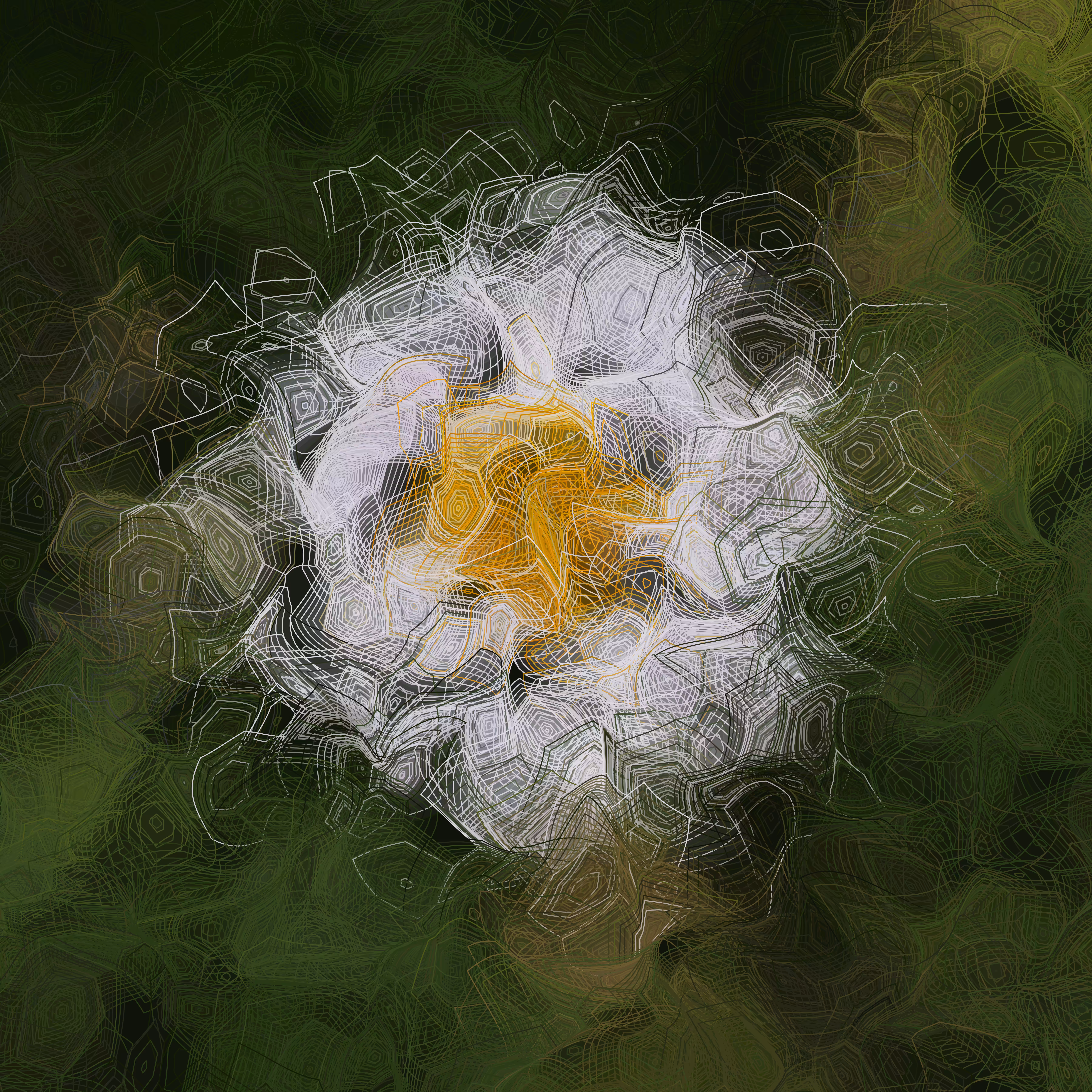 wired.daisy