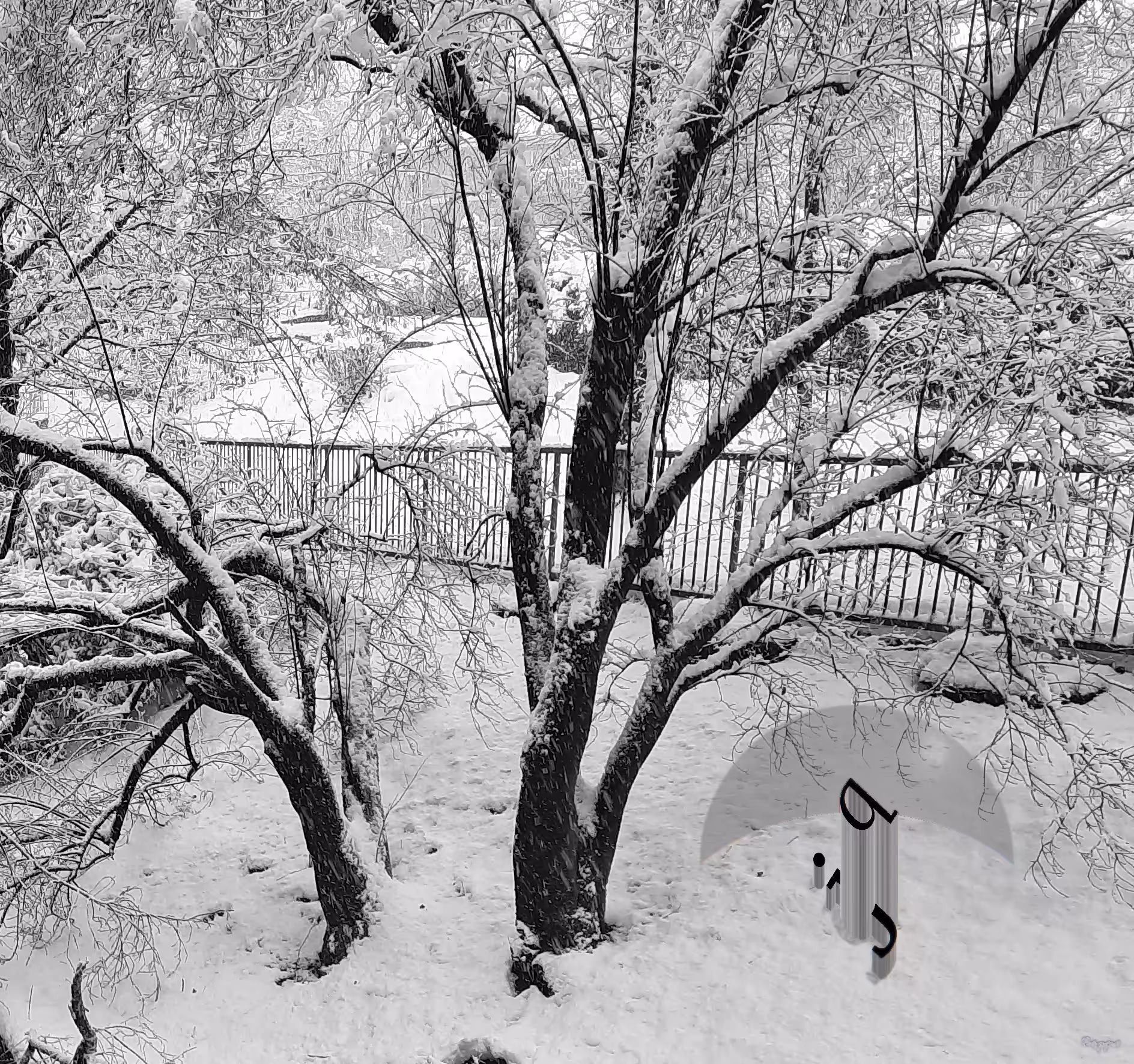 Snowy Landscape