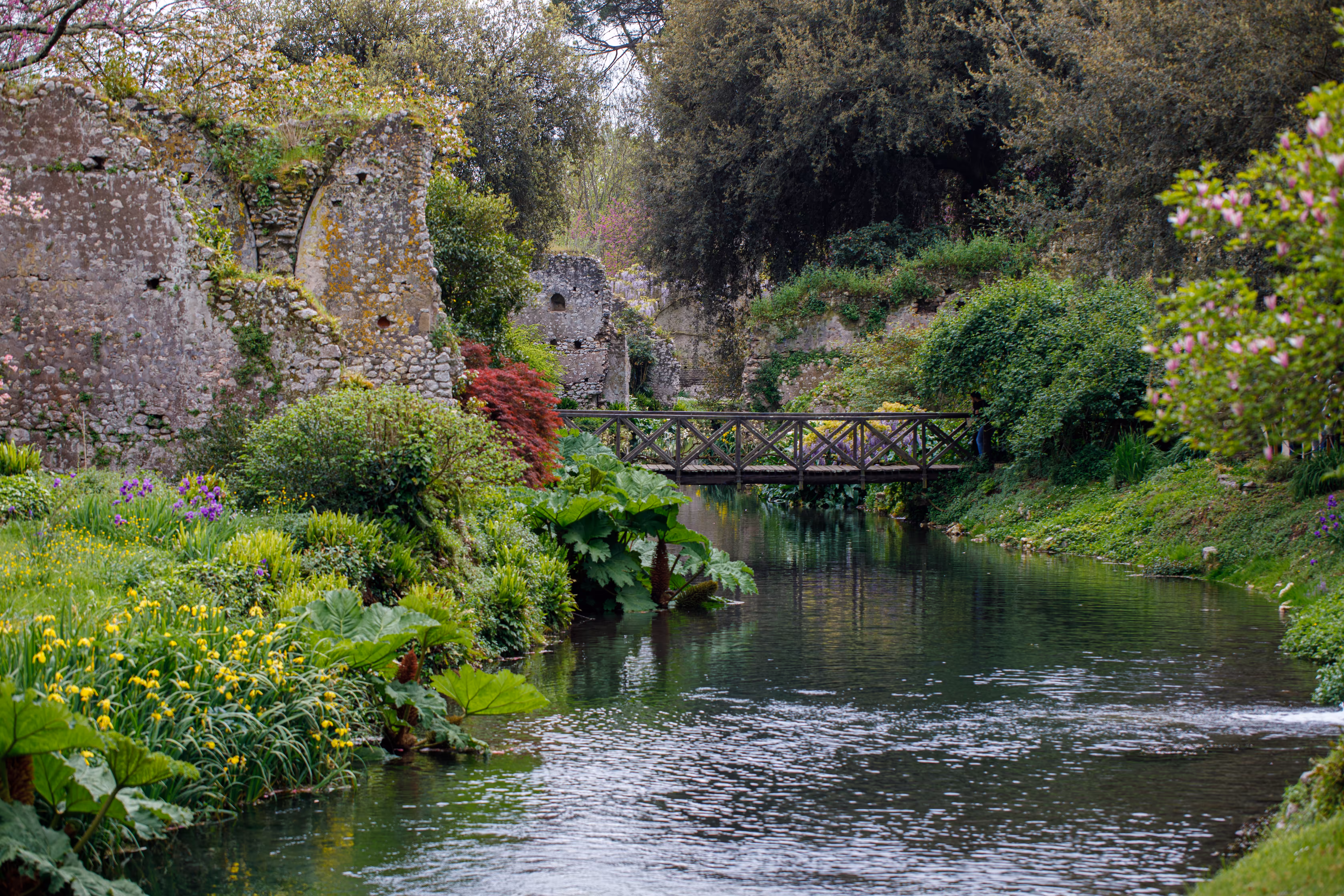 The Garden of Ninfa