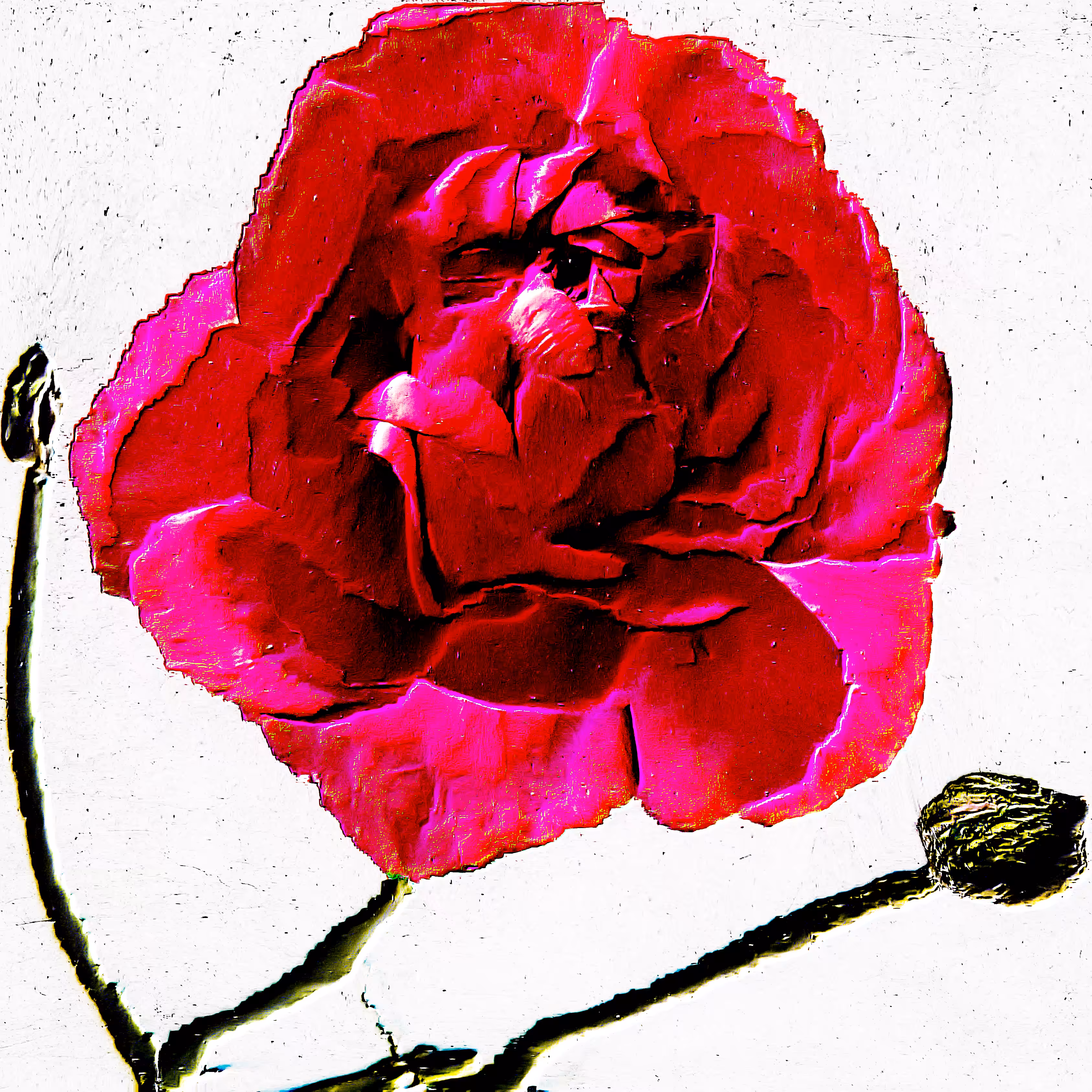 Flower #08 by CYDR