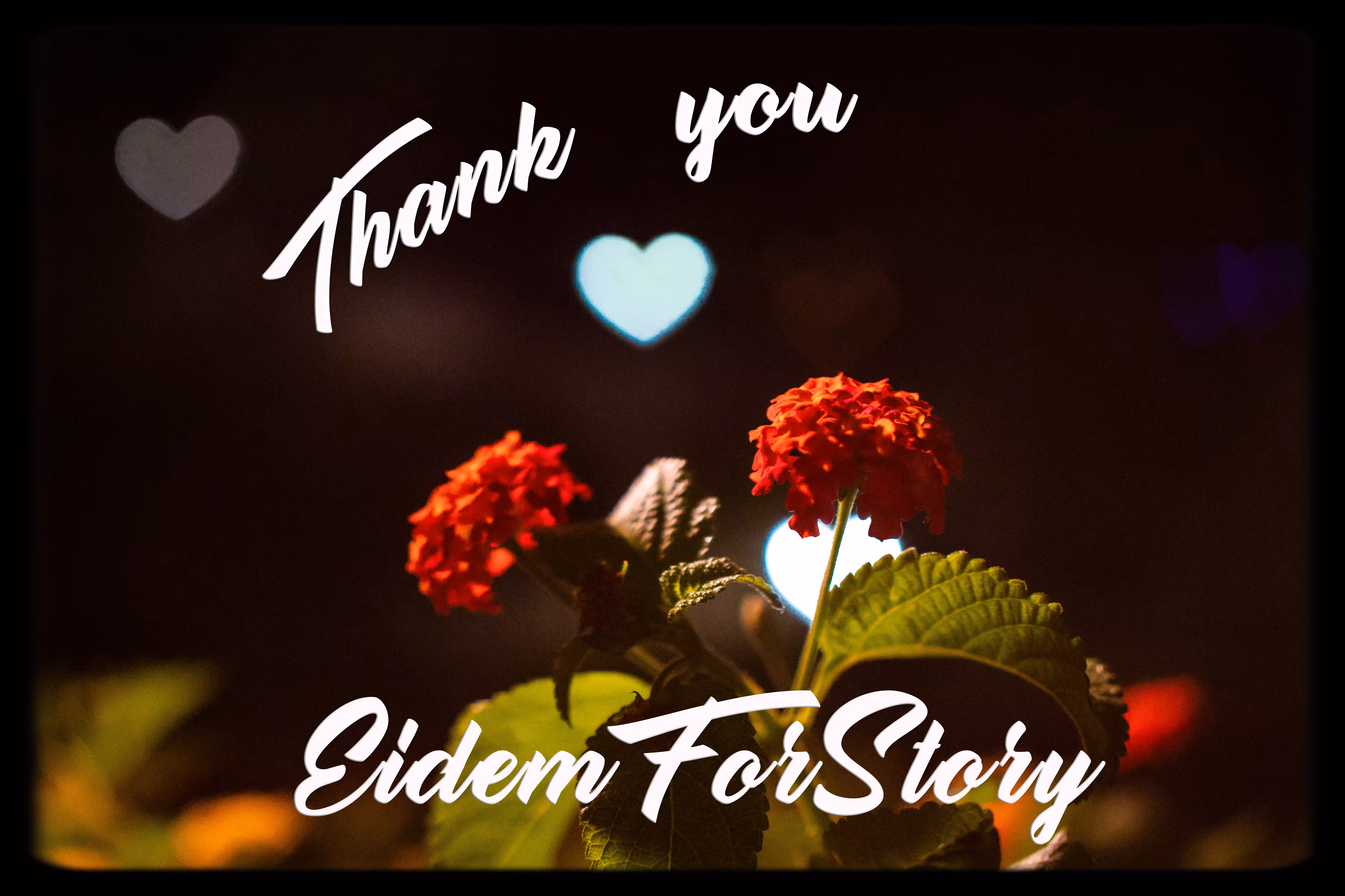 Thank You EidemForStory