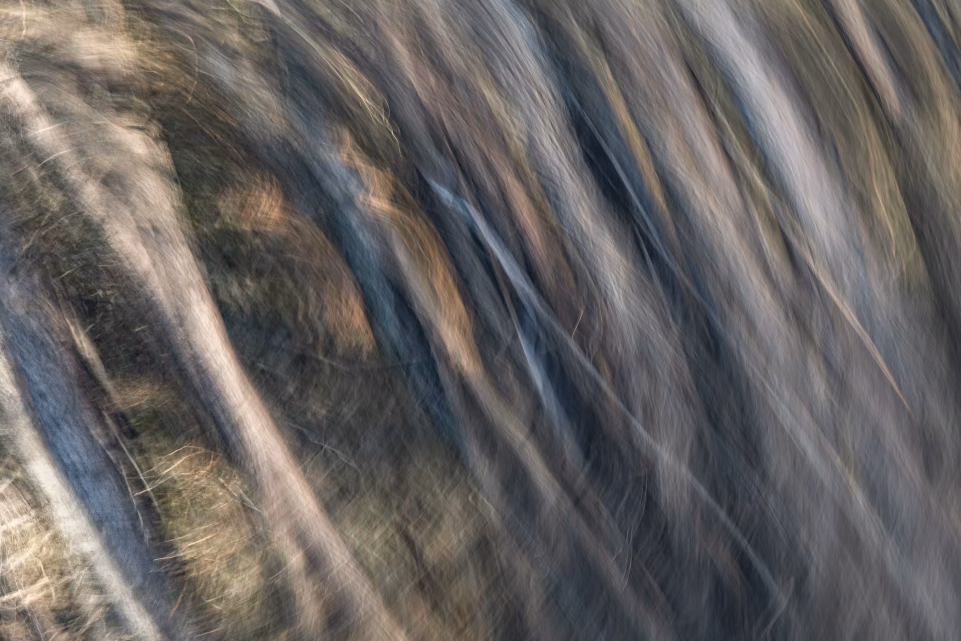 The Ghosts of Elowah #34