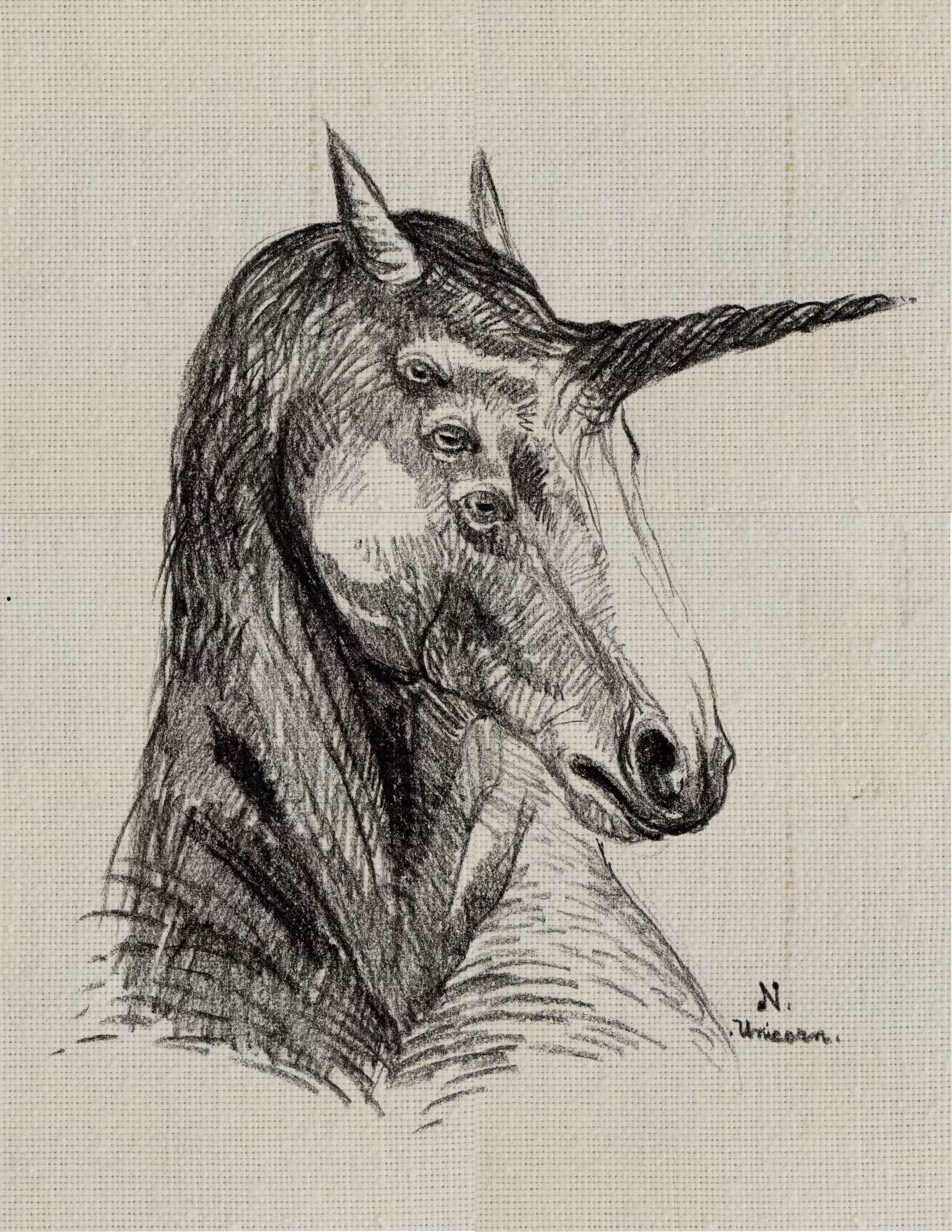 The six-eyed unicorn