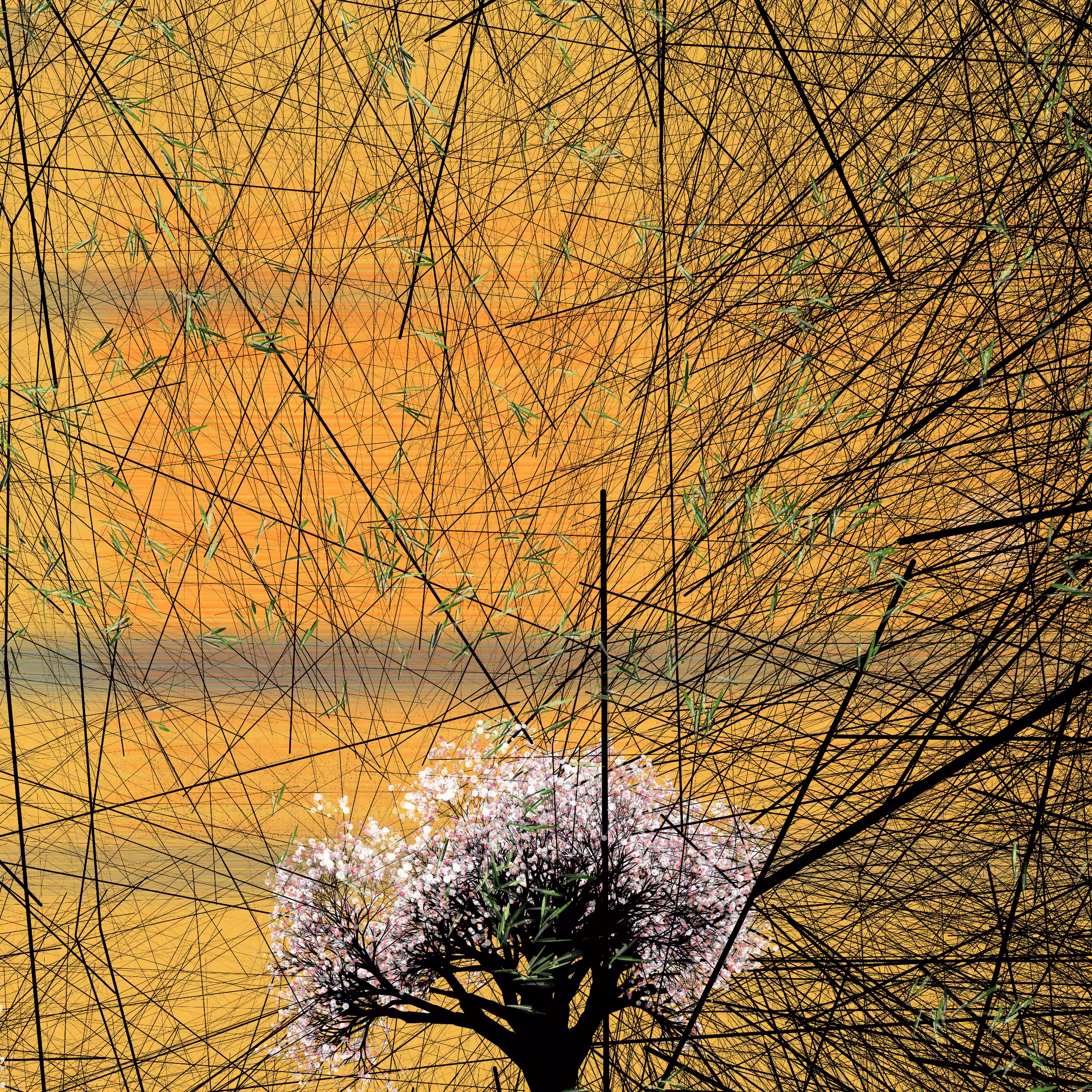 conversation with the wind #335