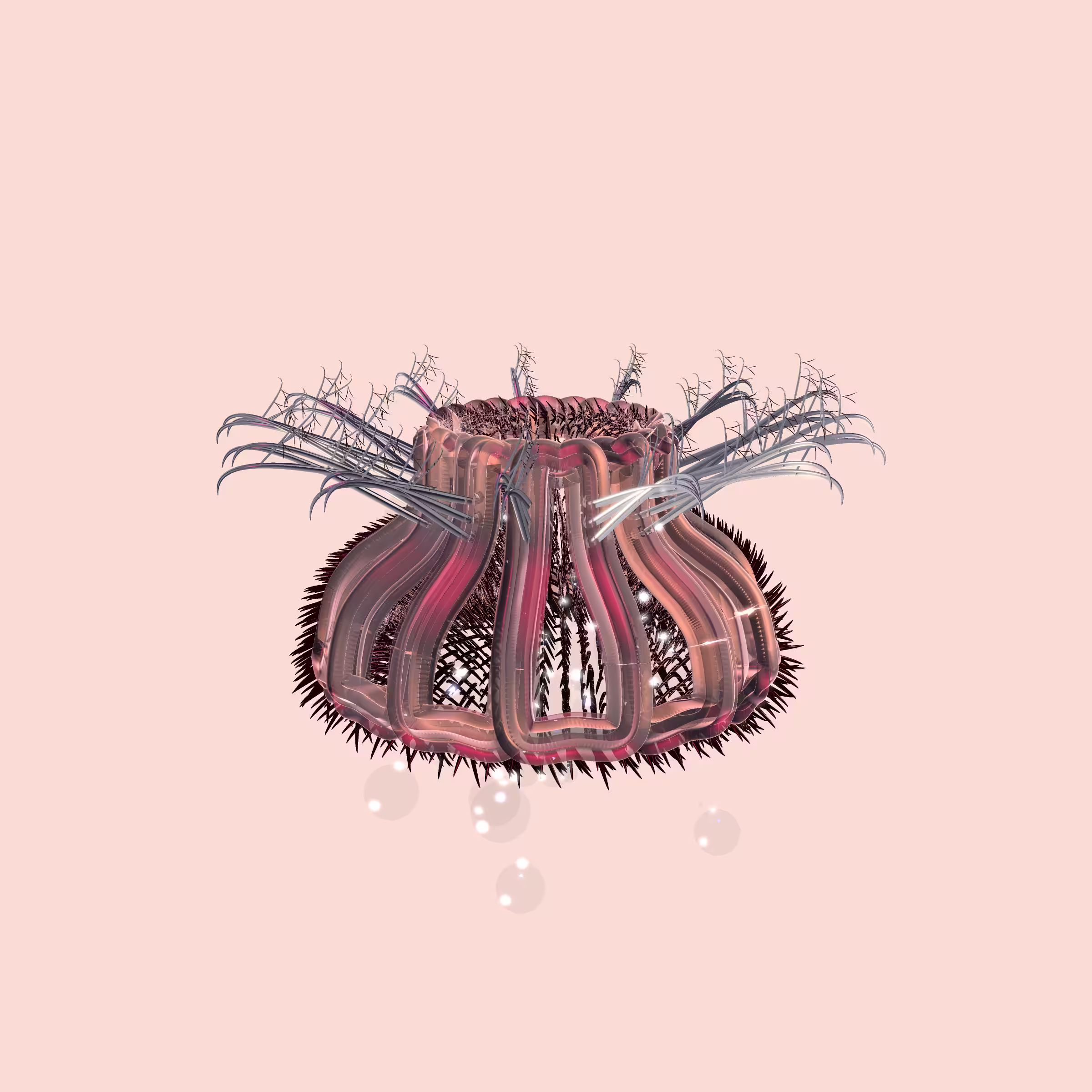 Lycorises #18