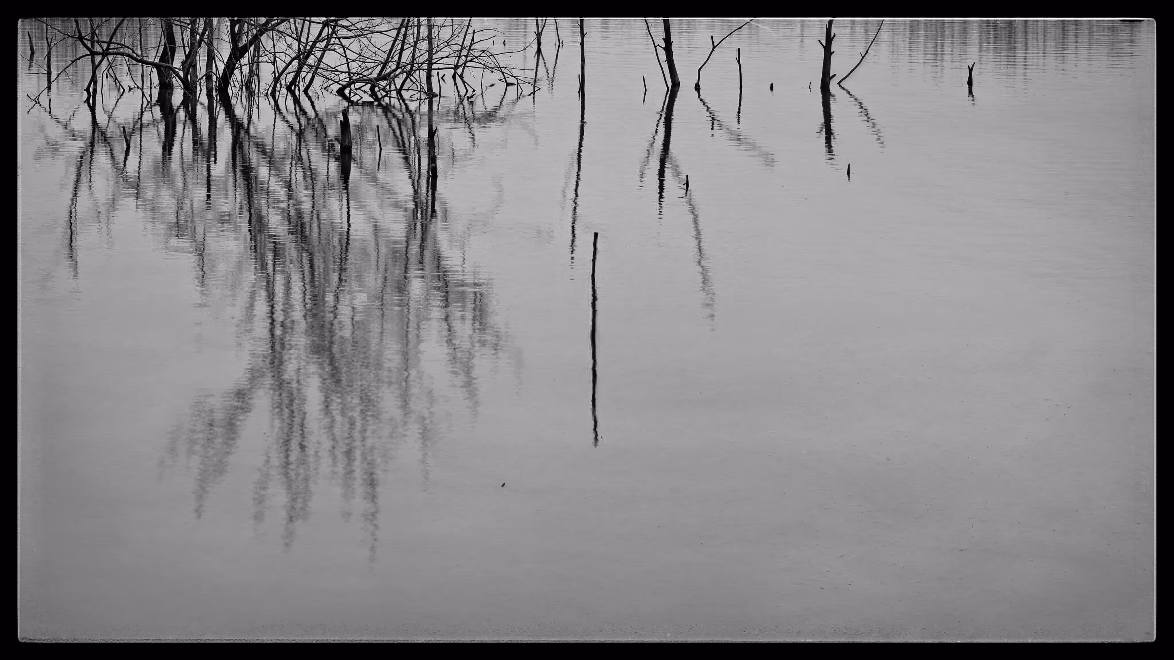 „…mille plateaux…“