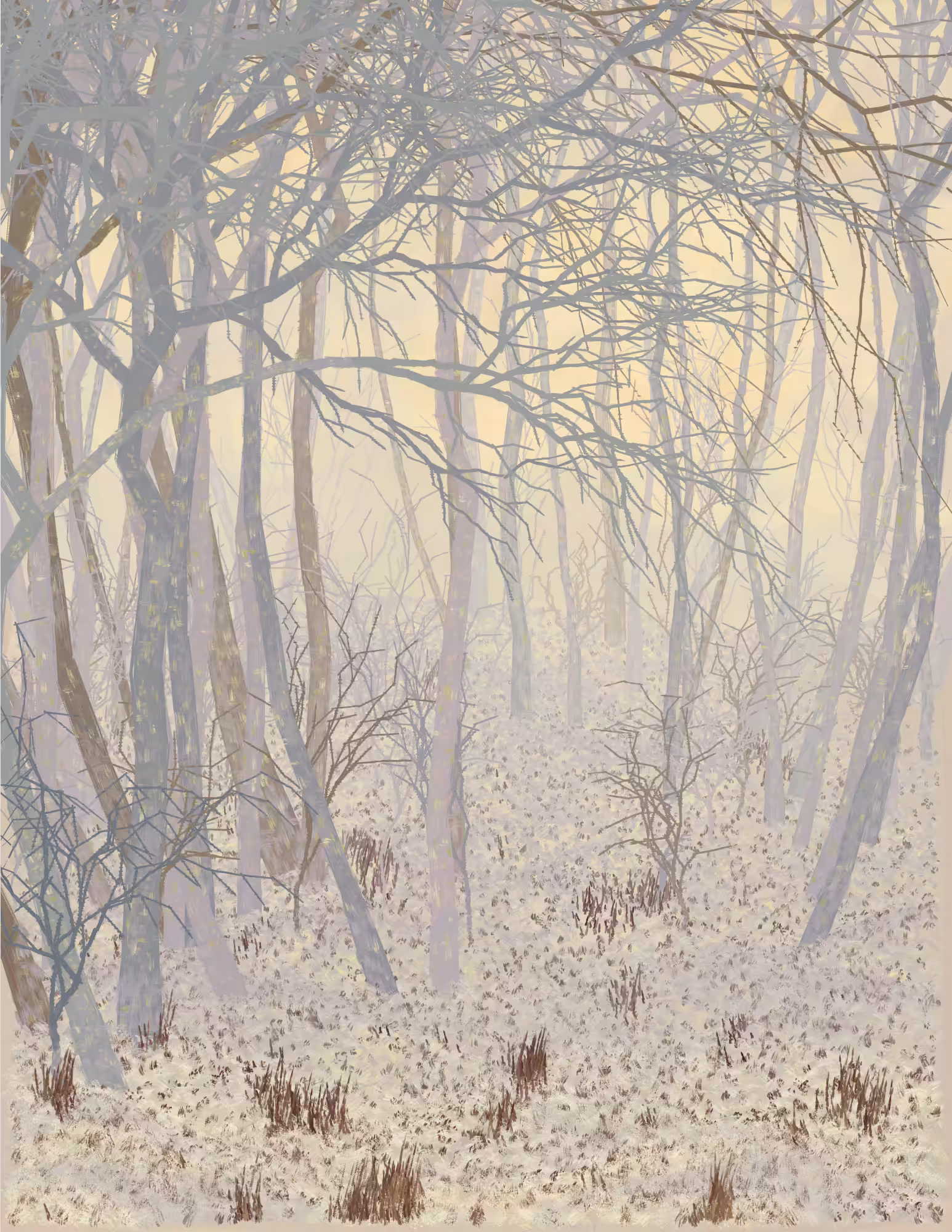 Deep Forest #266