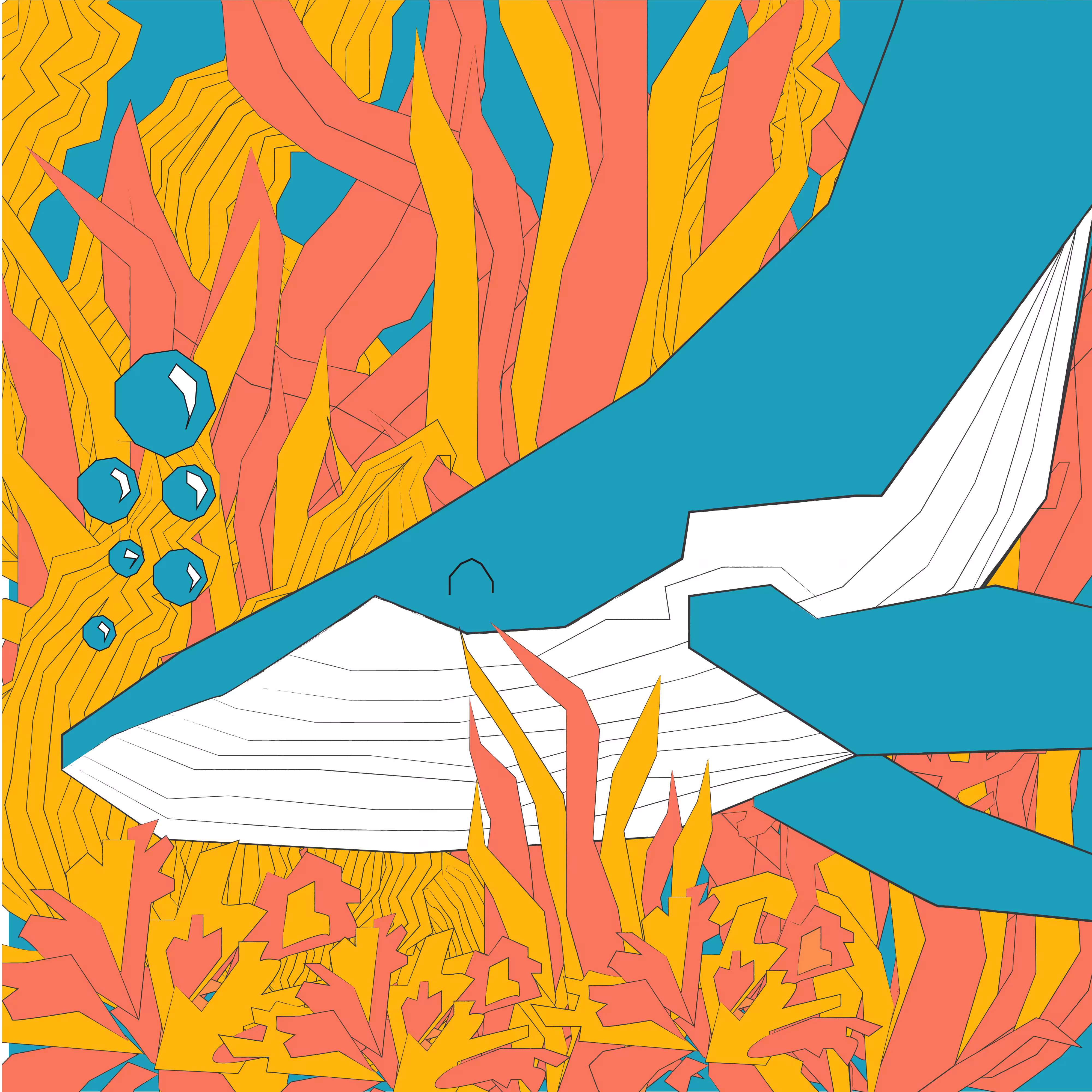 whale 05