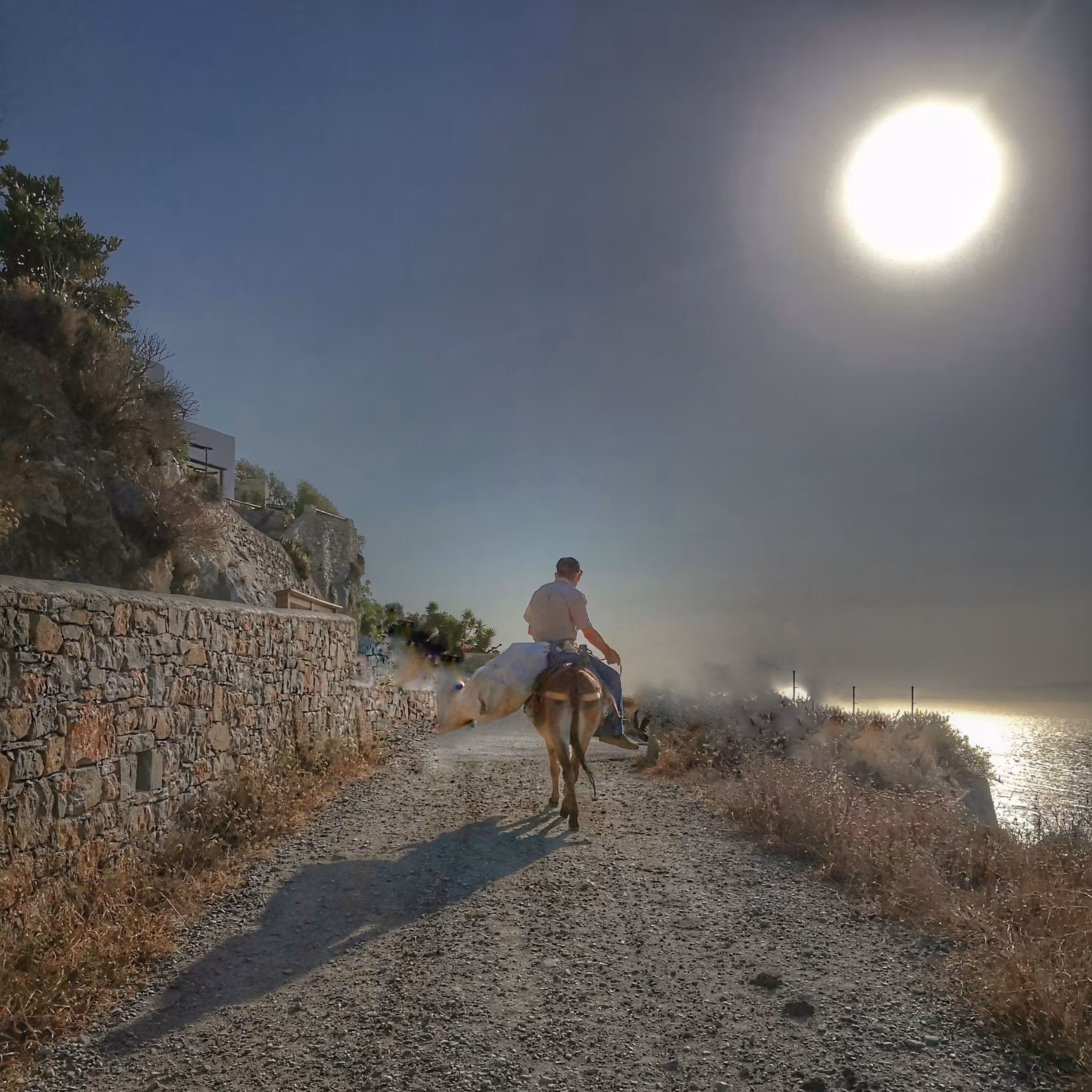 Lone rider