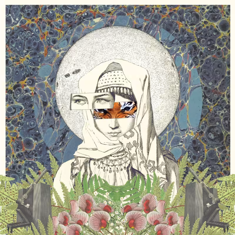 Tigresa 