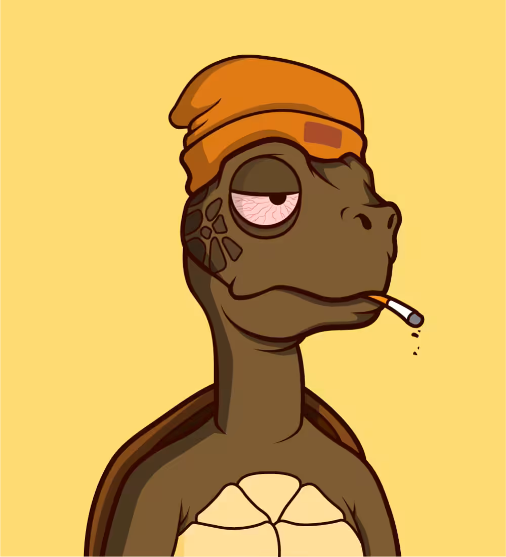 Tiny Turtle 131