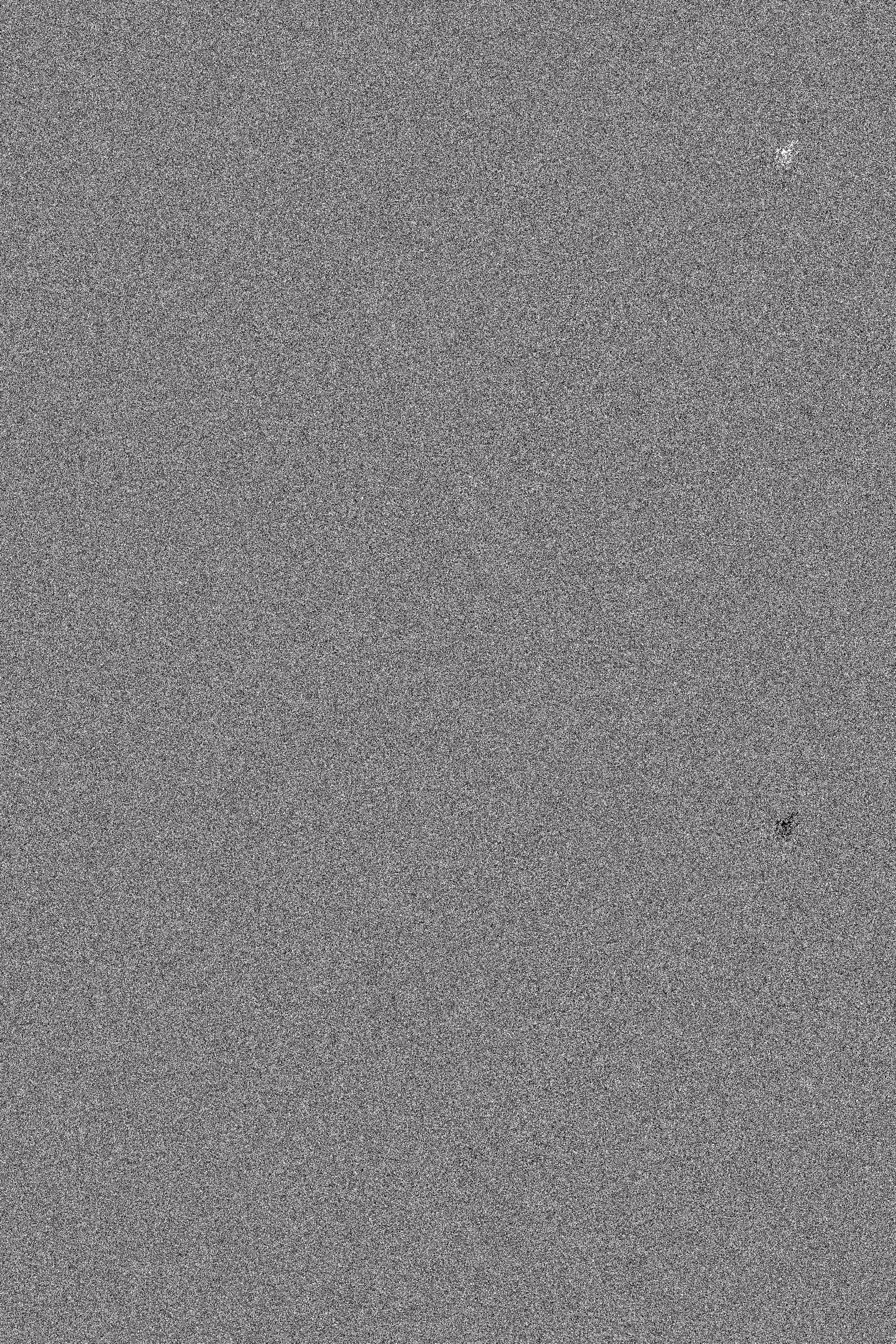 Belly of the plane | Slice 0