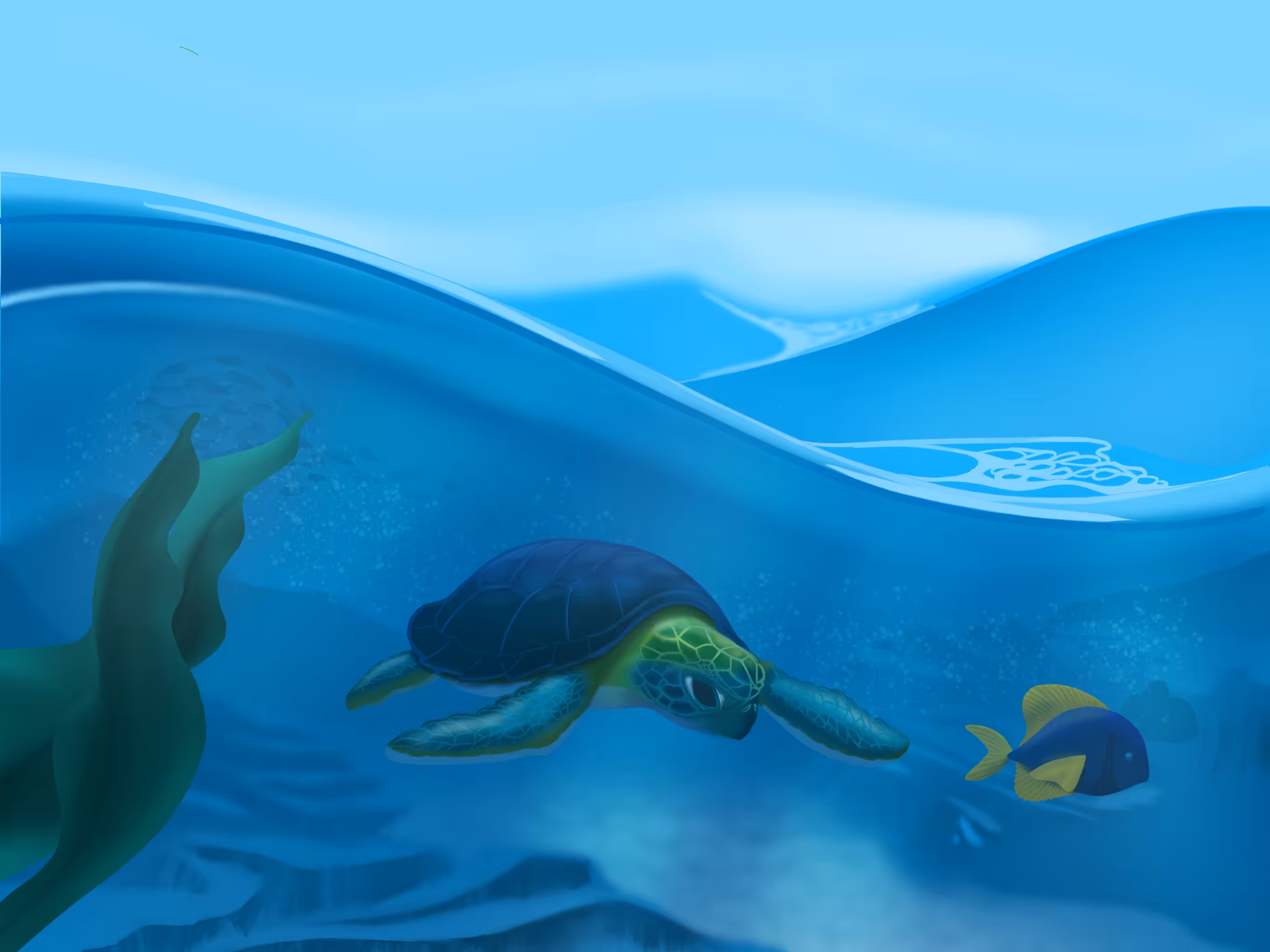 Over Under Marine Life