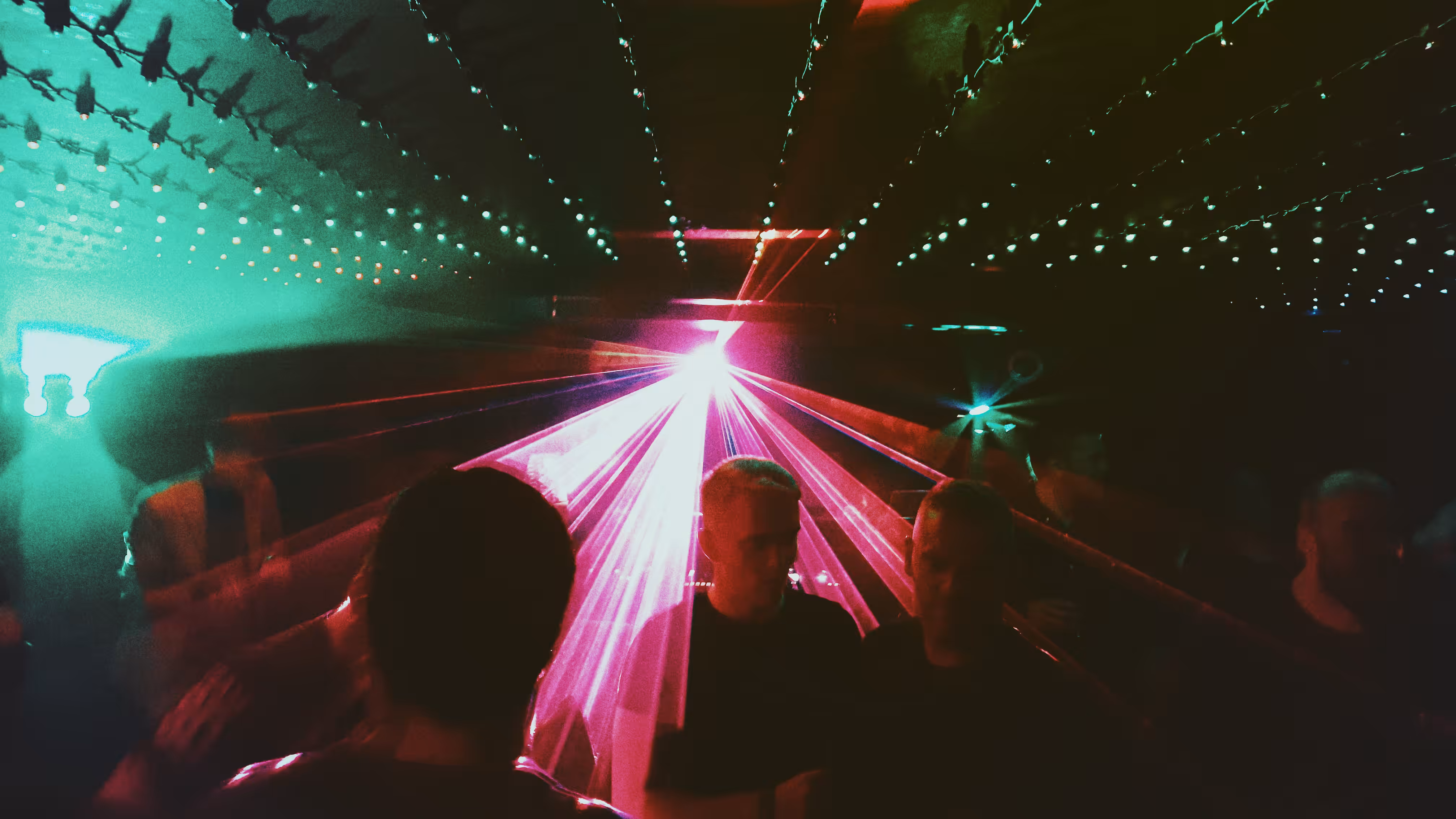 The Party Monster