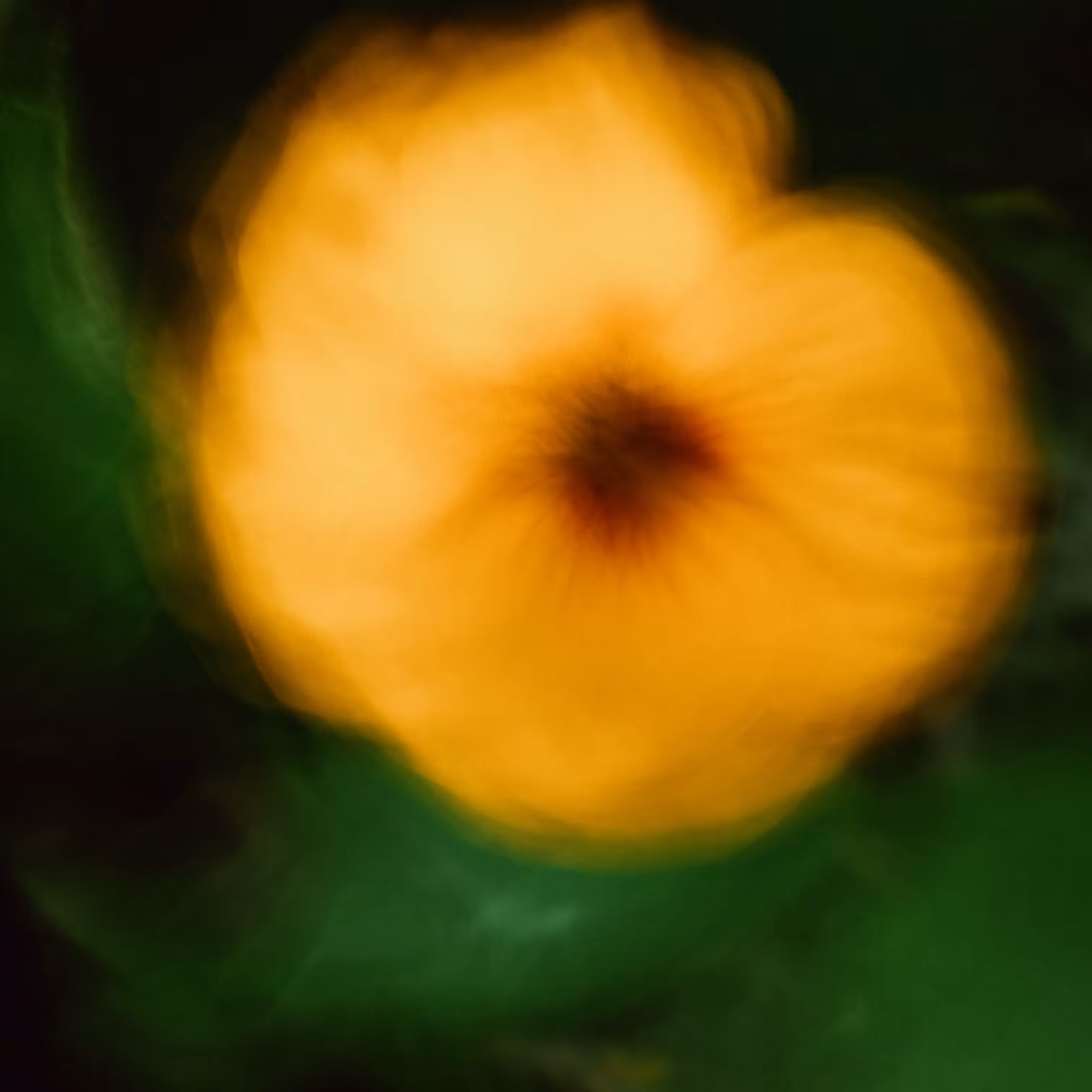 Deep Yellow