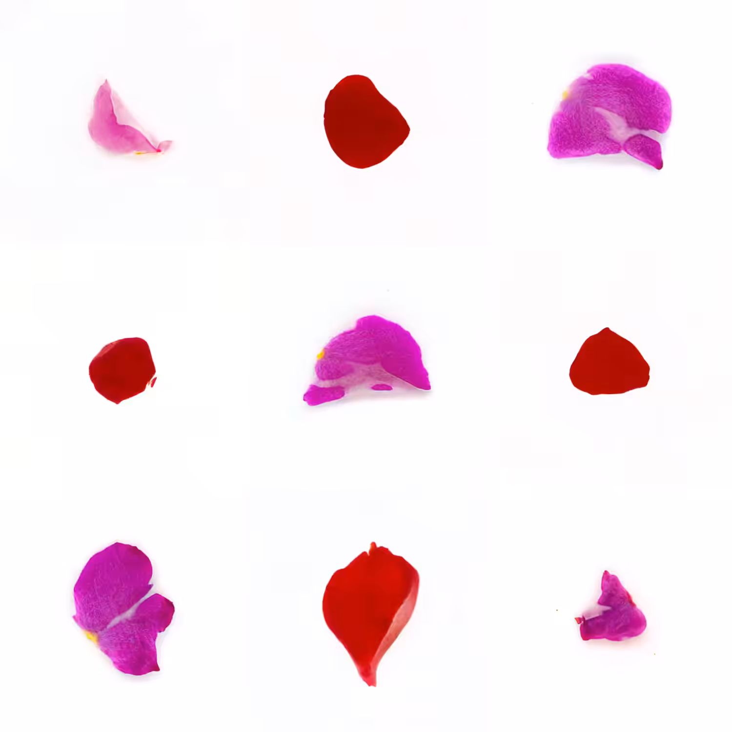 Infinite Petals 3x3#2649