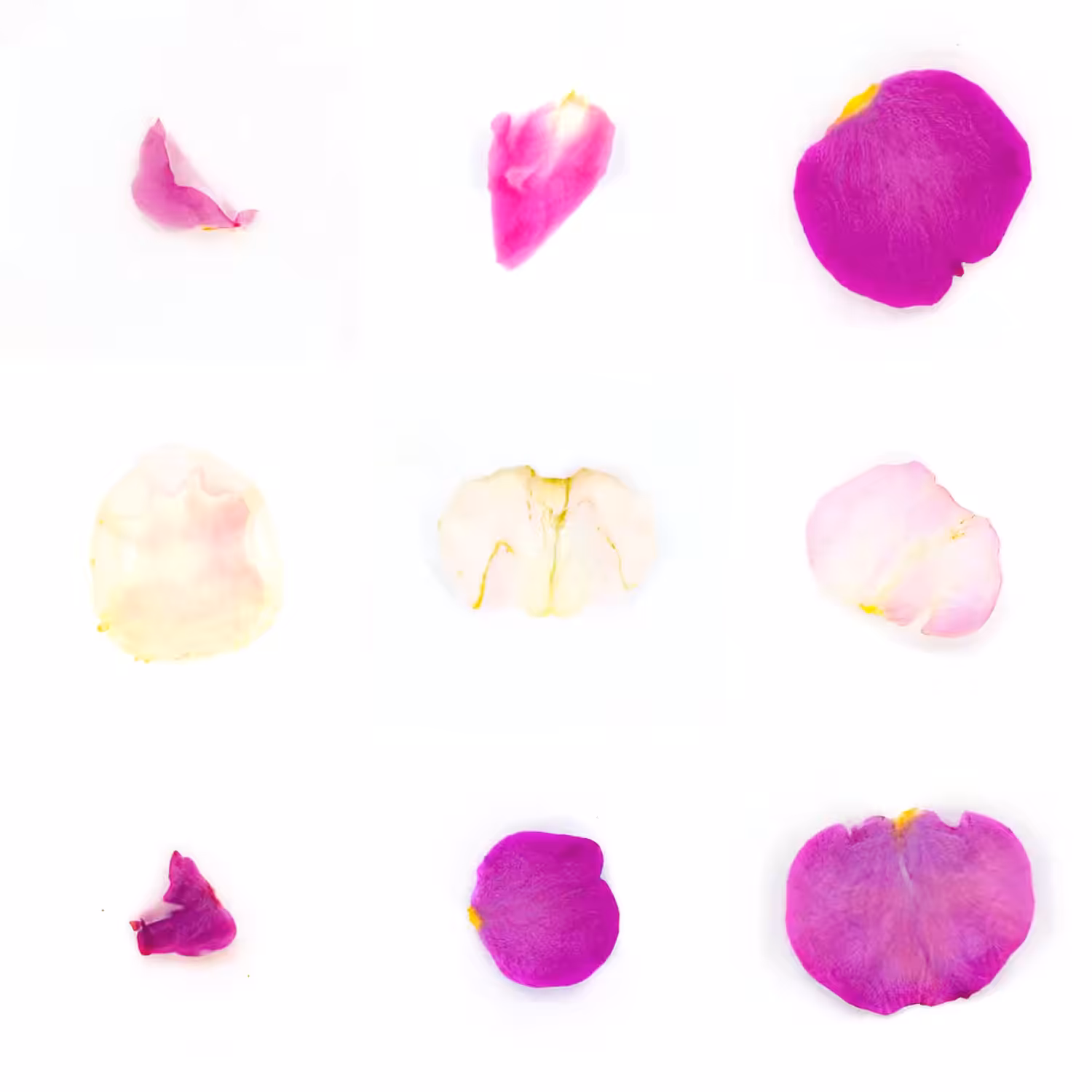 Infinite Petals 3x3#3335